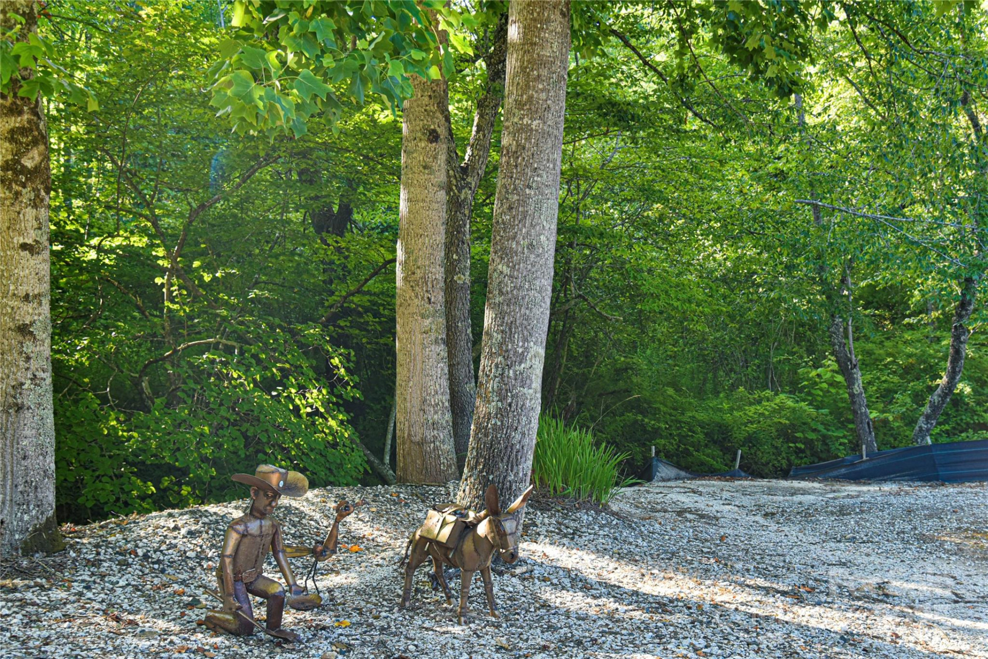 14622 226 Highway - Photo 42