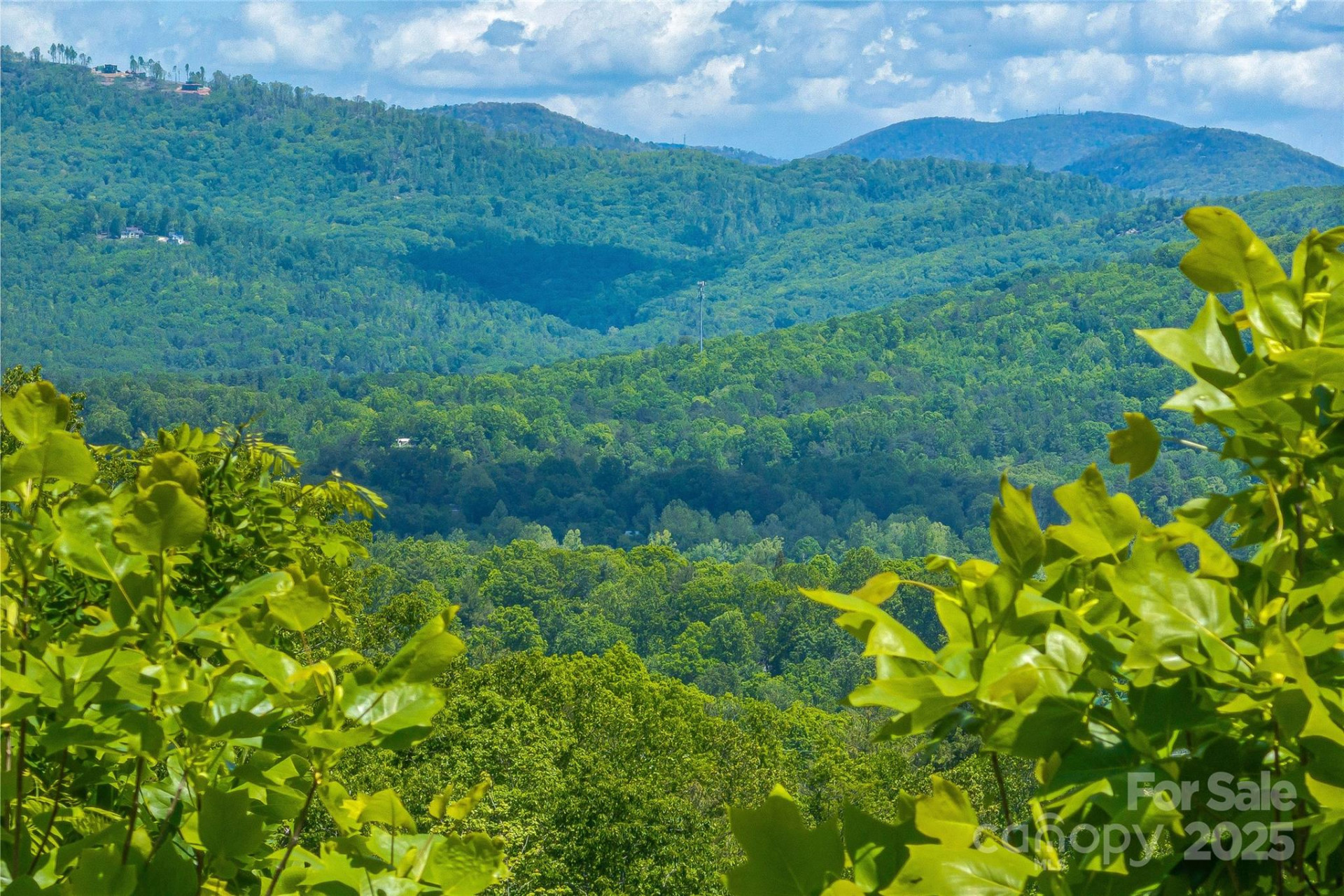 Lot R4 Curtain Bluff - Photo 4