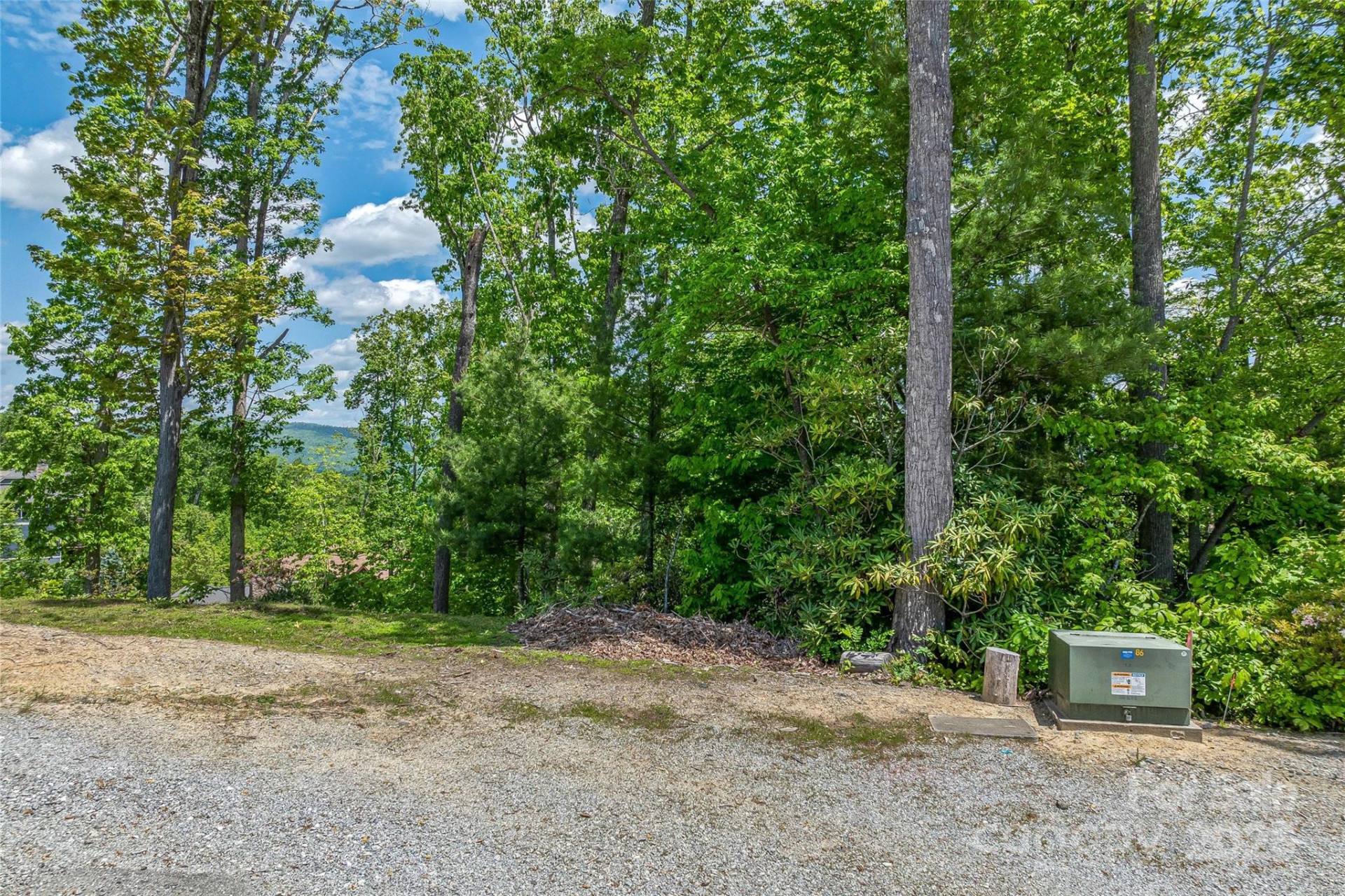 81 Curtain Bluff - Photo 14