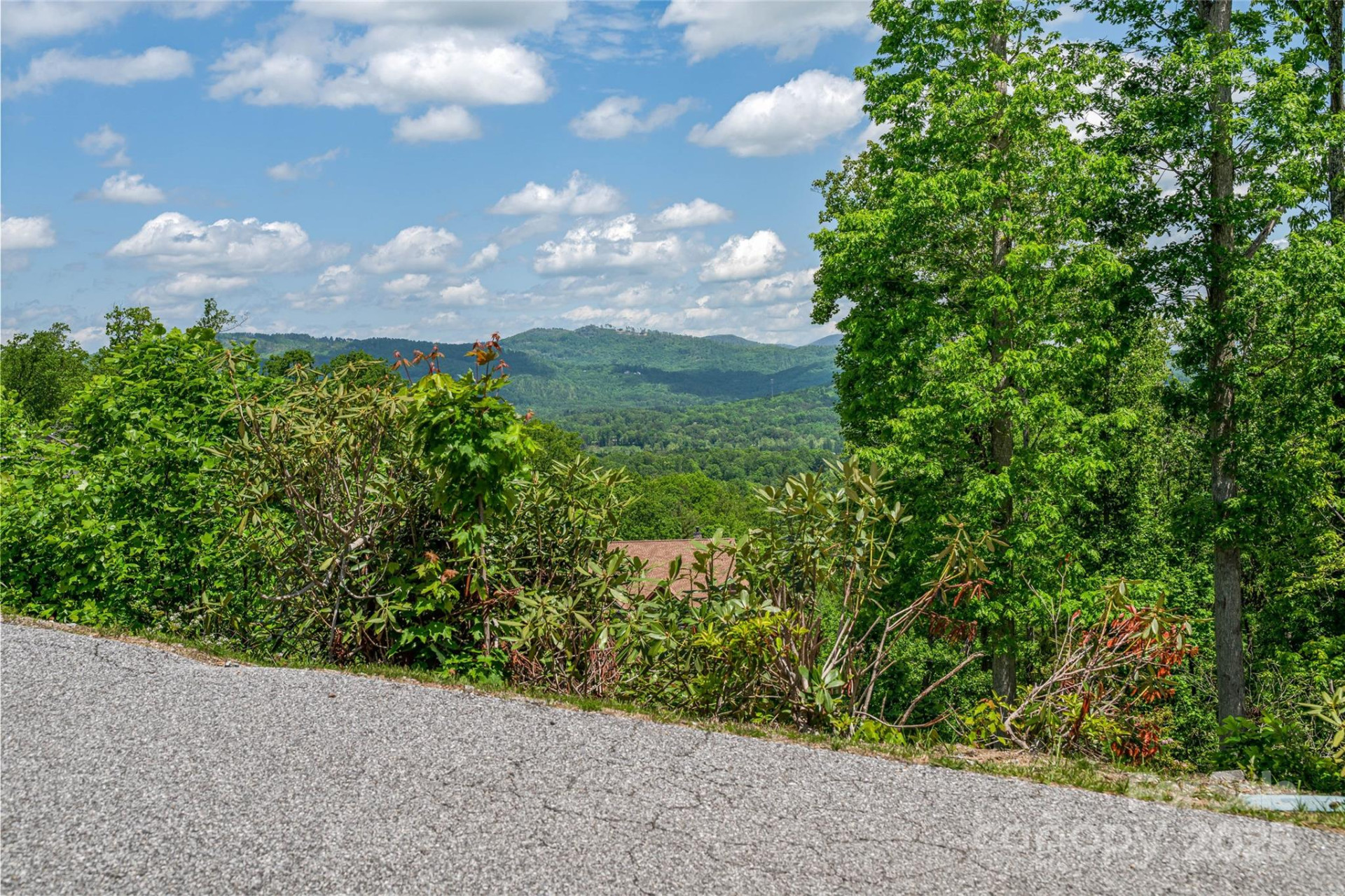 81 Curtain Bluff - Photo 15
