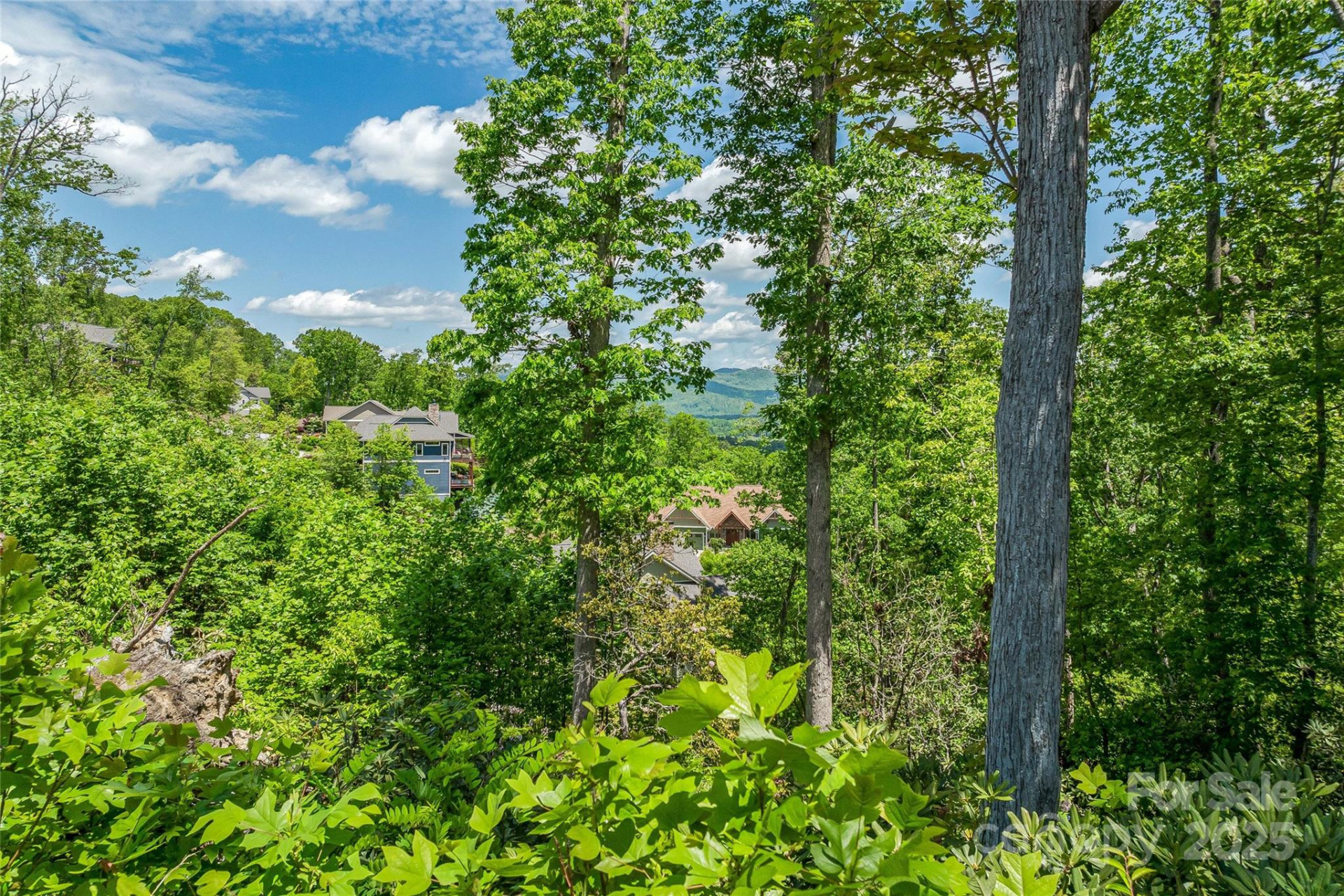 81 Curtain Bluff - Photo 16