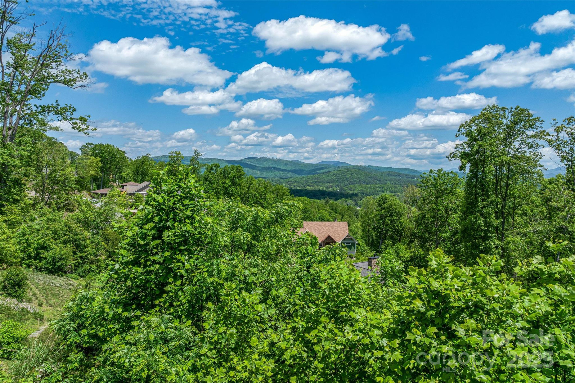 81 Curtain Bluff - Photo 17