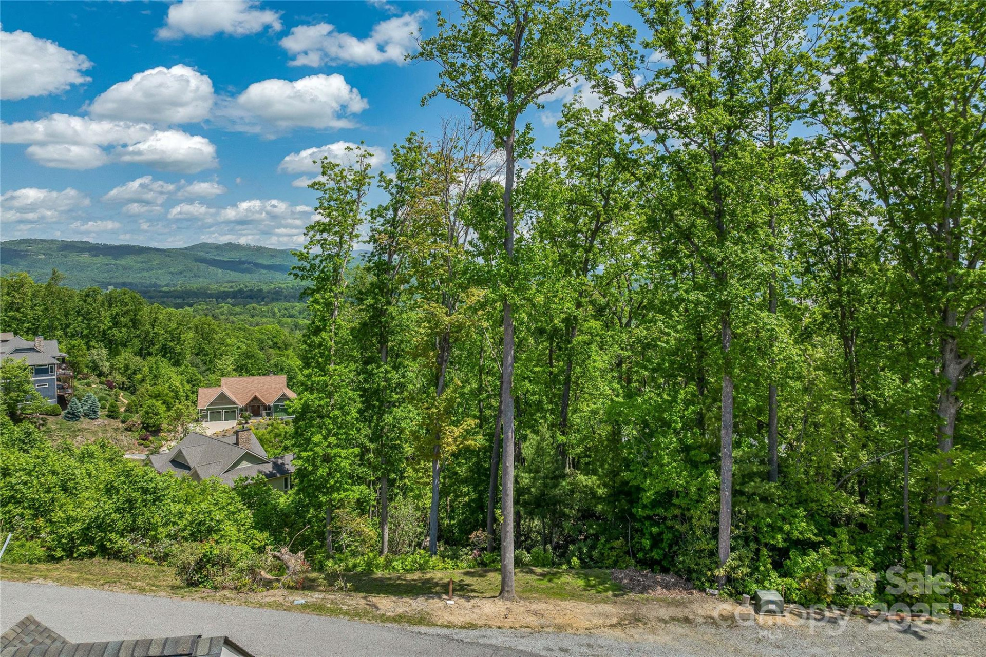 81 Curtain Bluff - Photo 5