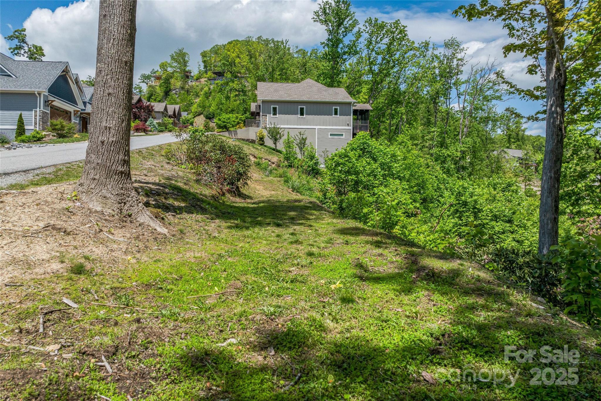 81 Curtain Bluff - Photo 6