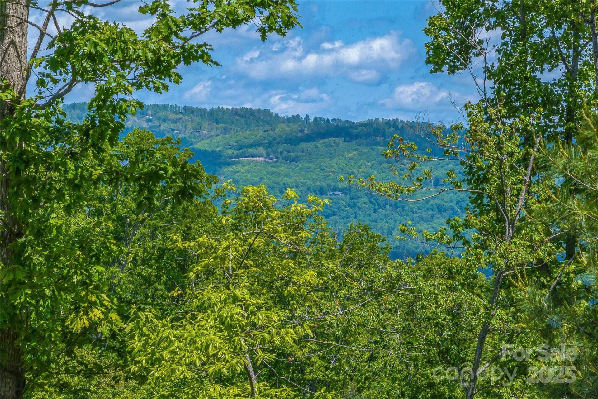 81 Curtain Bluff - Photo 7