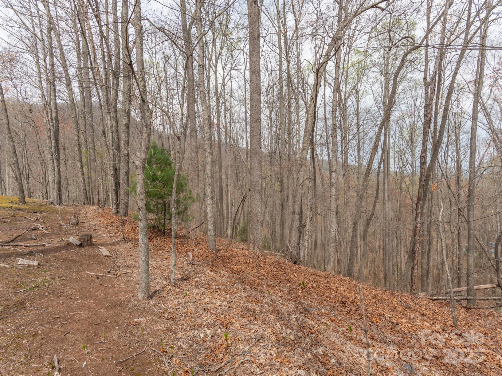 00 Michele Lane #4 - Photo 3