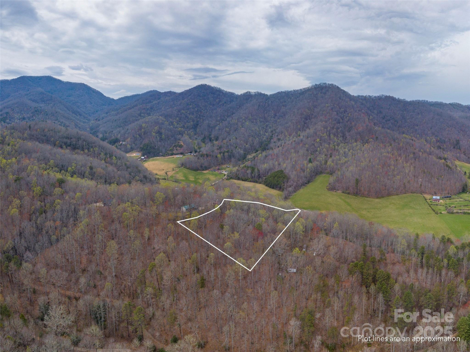 00 Michele Lane #4 - Photo 4