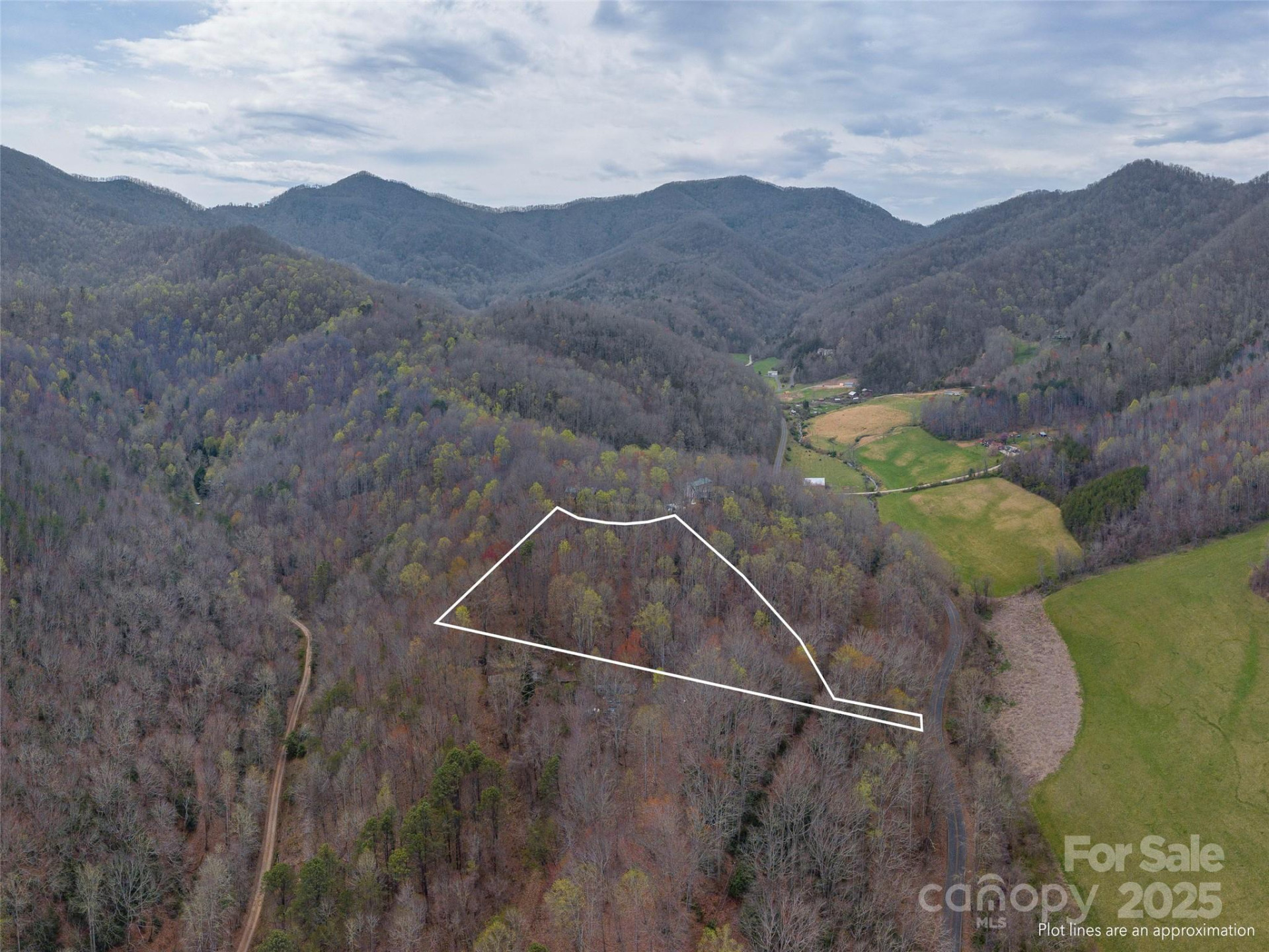 00 Michele Lane #4 - Photo 5