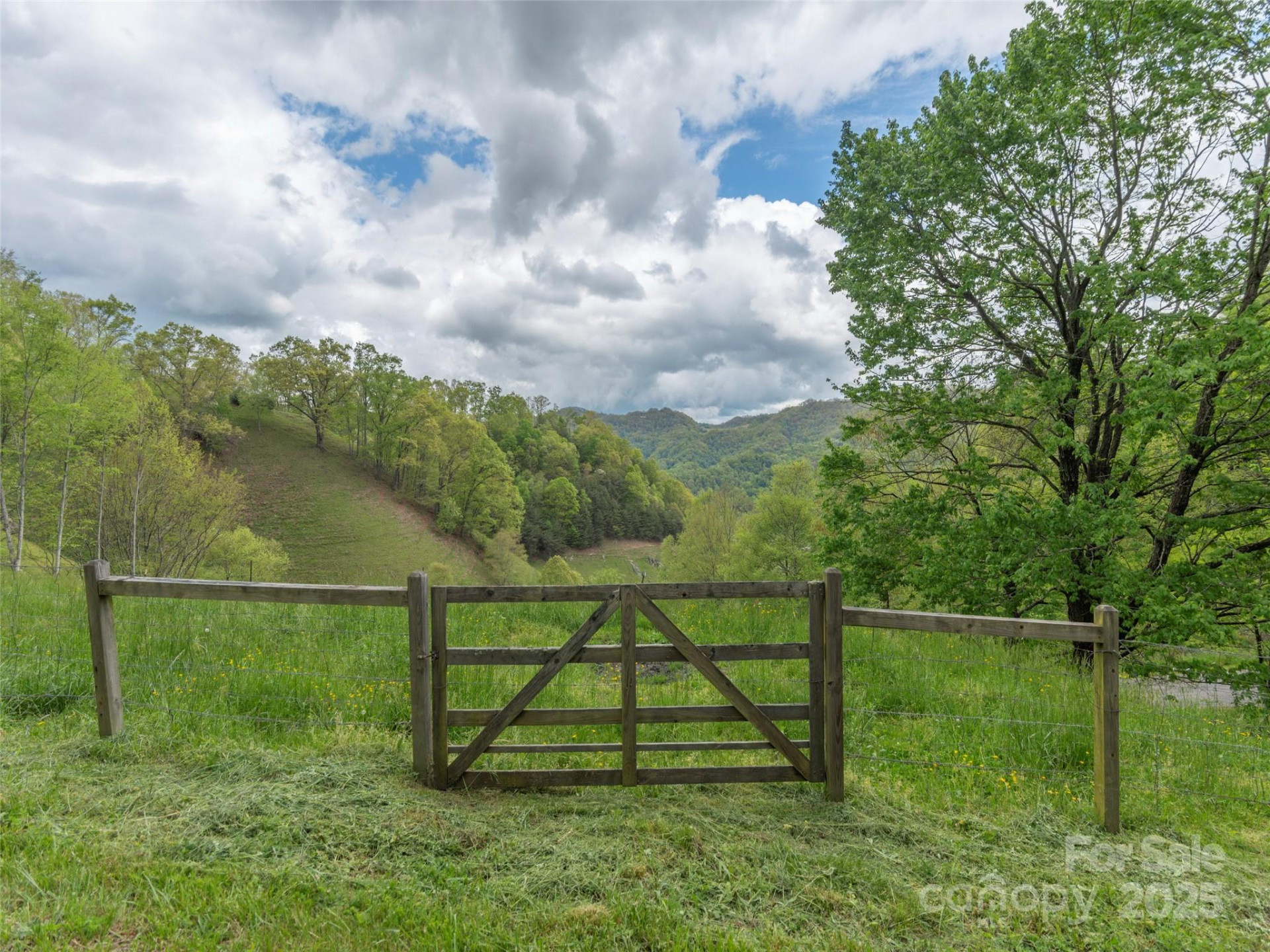 00 Quest Cove - Photo 7