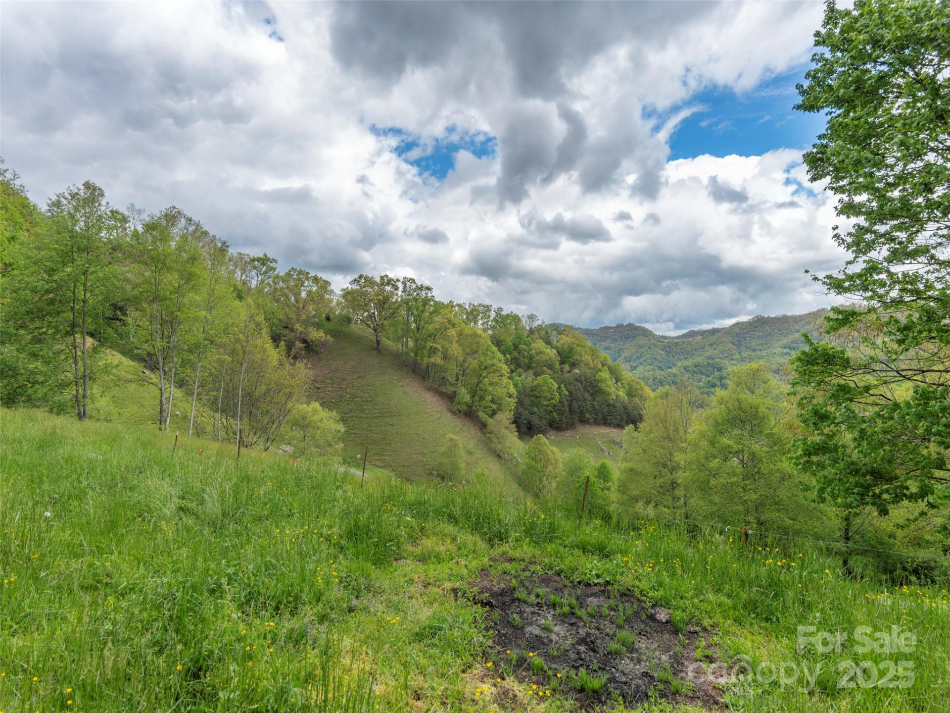 00 Quest Cove - Photo 8