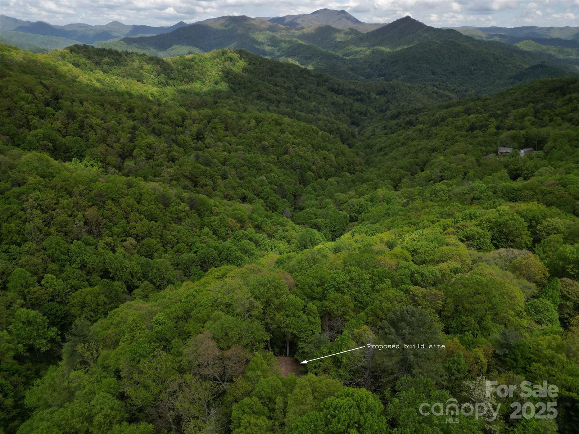 3 Autumn Drive #3 - Photo 3