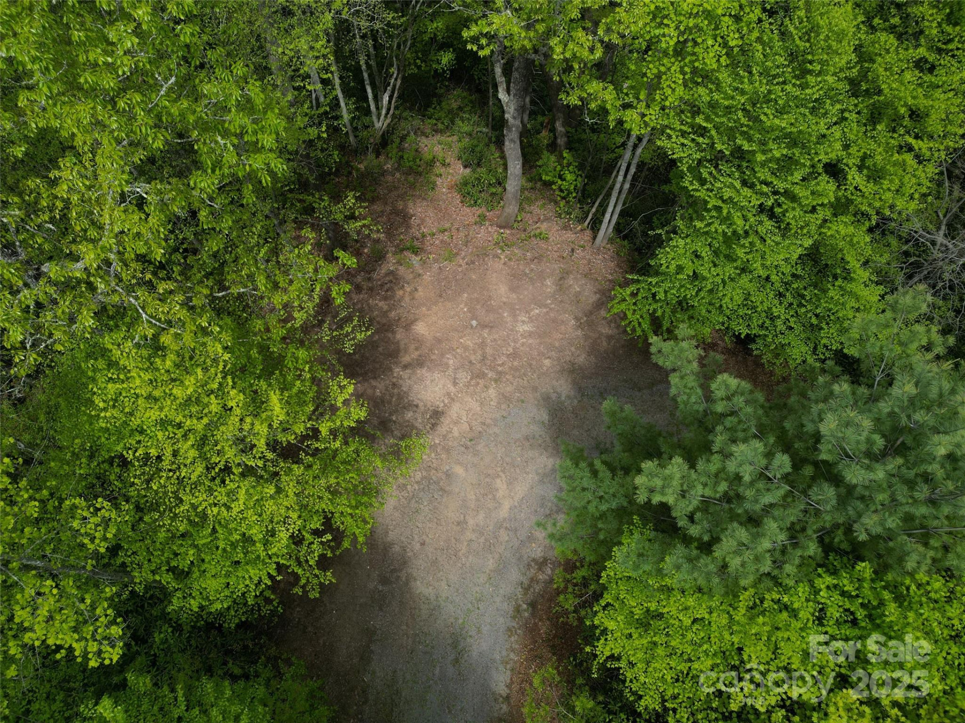 3 Autumn Drive #3 - Photo 5