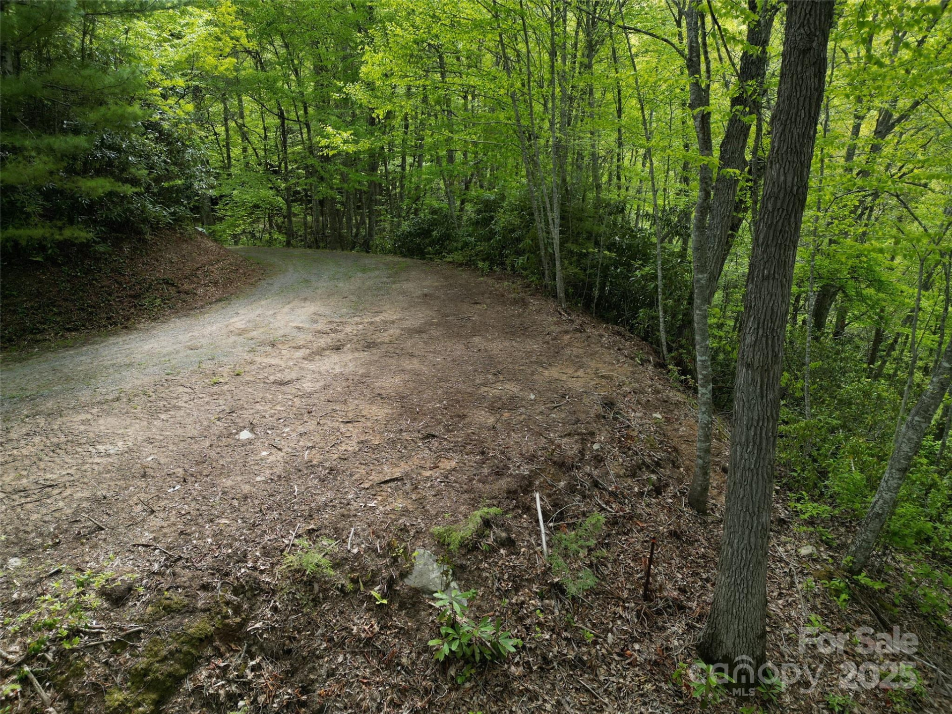 3 Autumn Drive #3 - Photo 6