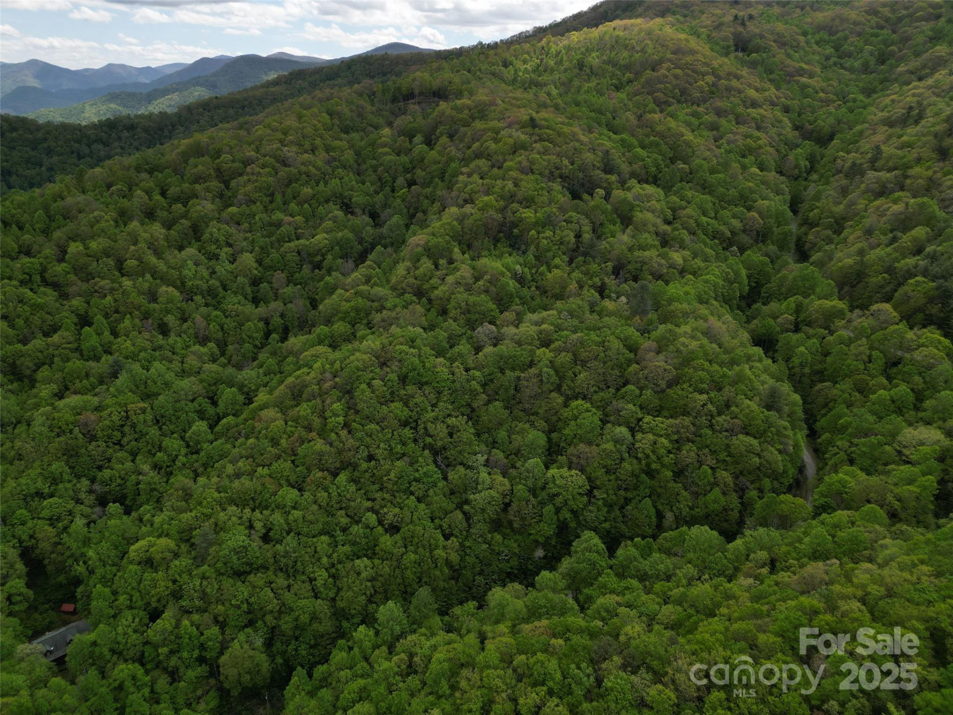 3 Autumn Drive #3 - Photo 8