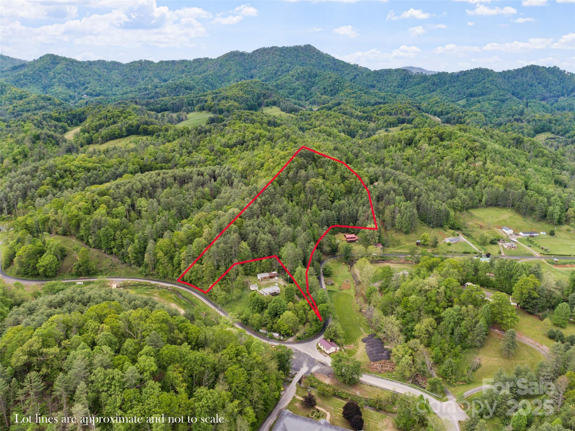 0000 Jacks Creek Road - Photo 3