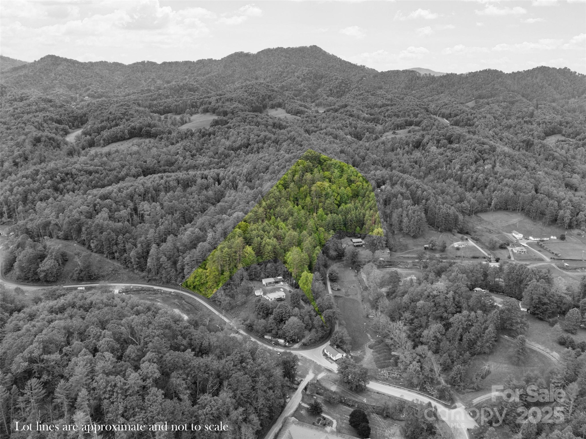 0000 Jacks Creek Road - Photo 4