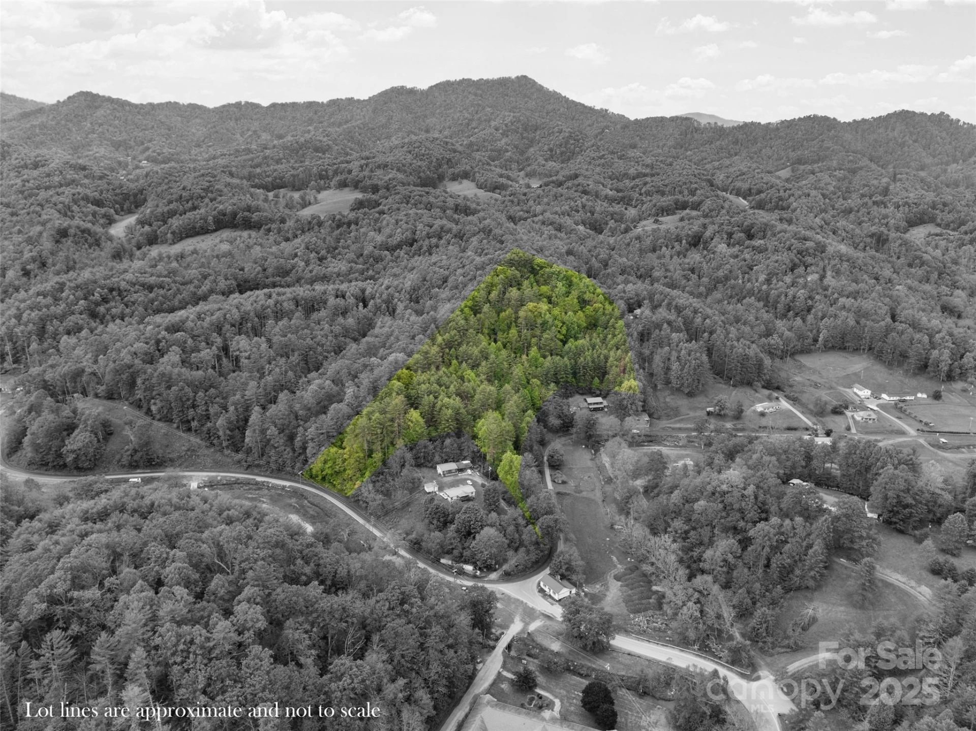 0000 Jacks Creek Road - Photo 4