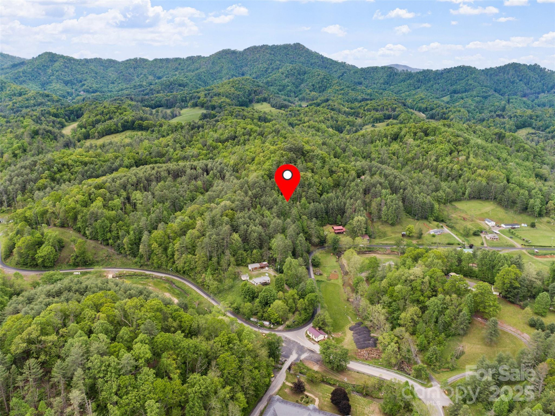 0000 Jacks Creek Road - Photo 5