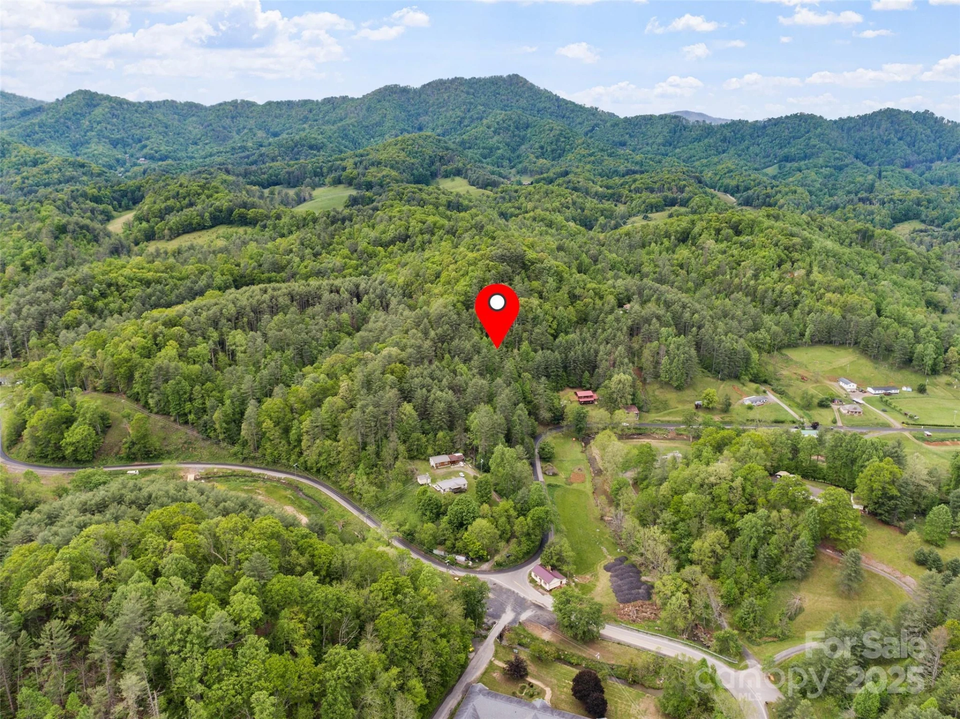 0000 Jacks Creek Road - Photo 5
