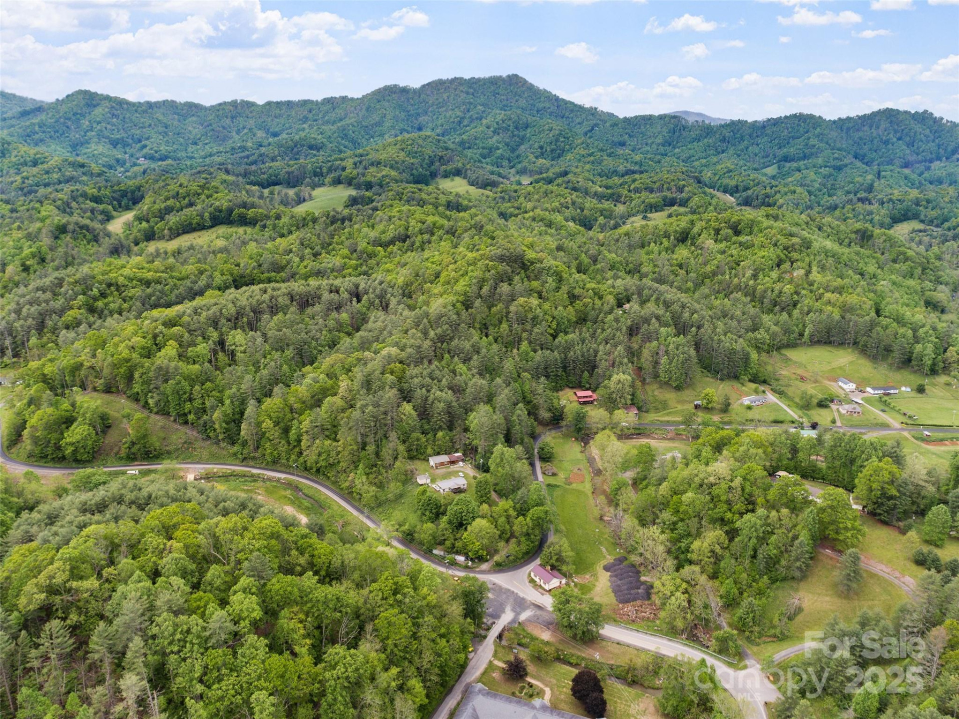 0000 Jacks Creek Road - Photo 6