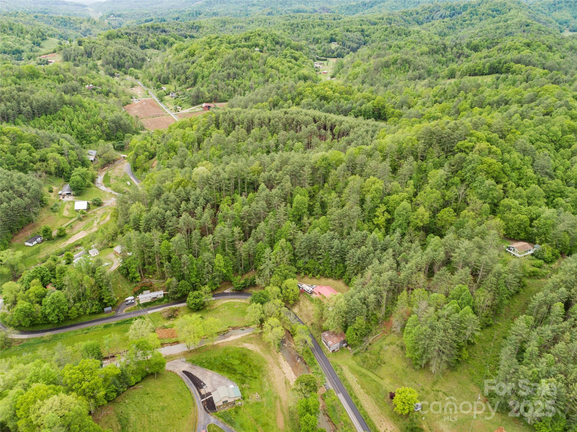 0000 Jacks Creek Road - Photo 9