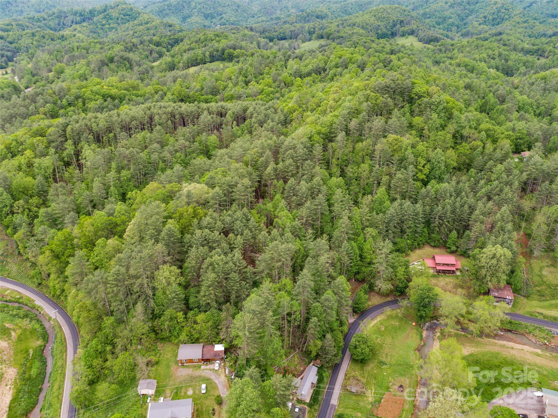 0000 Jacks Creek Road - Photo 10