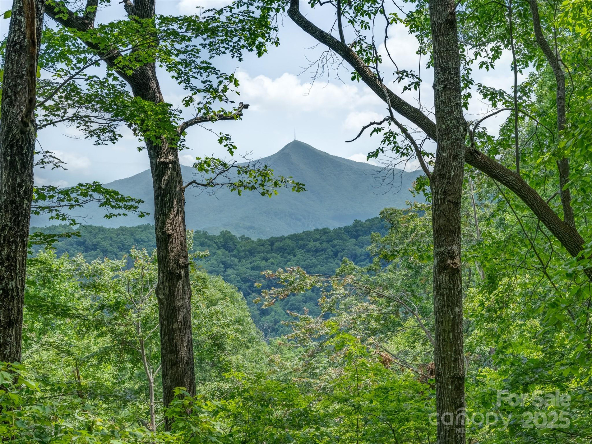 100 White Rock Branch Road - Photo 2