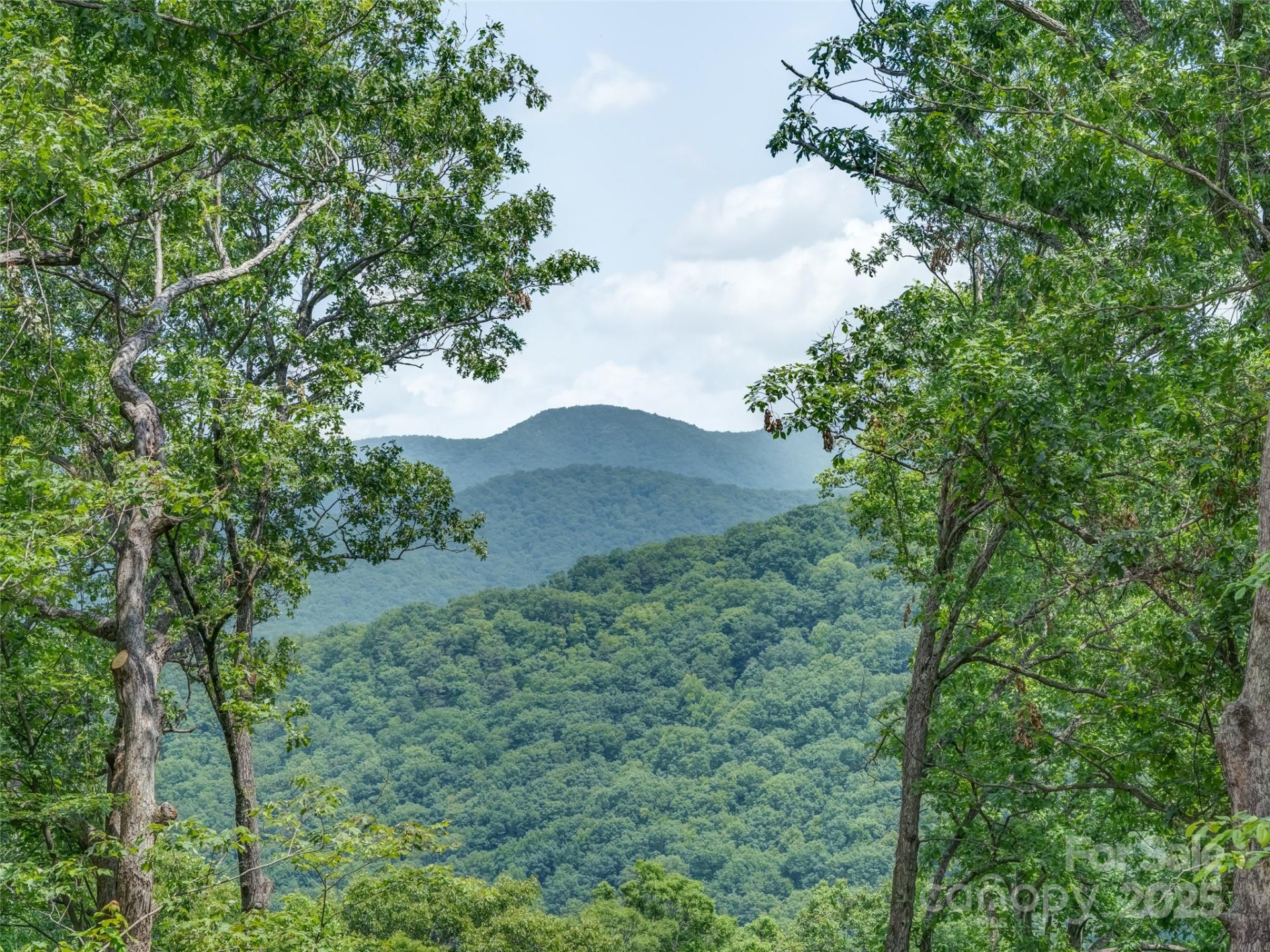 100 White Rock Branch Road - Photo 15