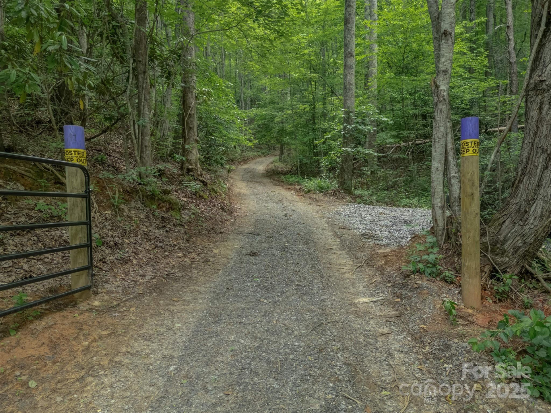 100 White Rock Branch Road - Photo 16