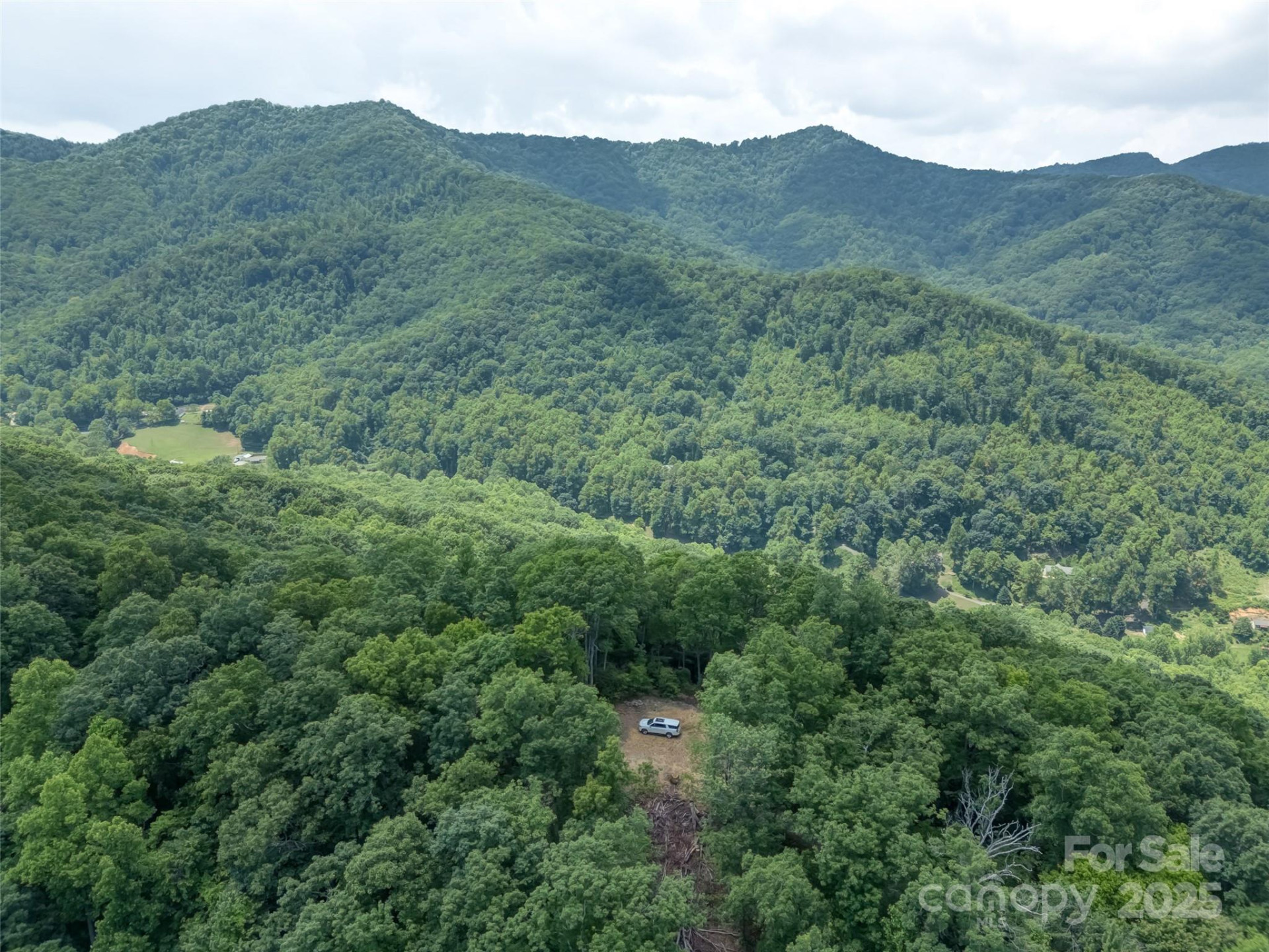 100 White Rock Branch Road - Photo 3