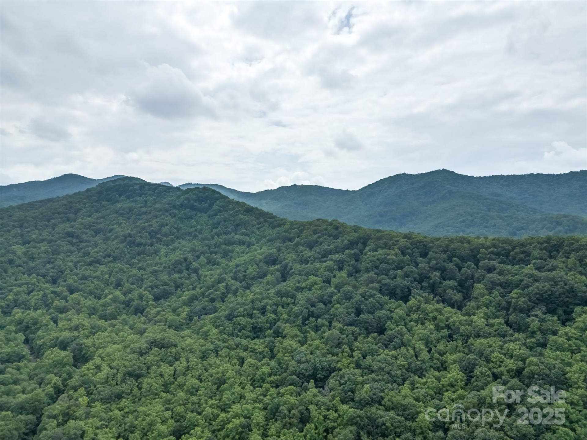 100 White Rock Branch Road - Photo 30