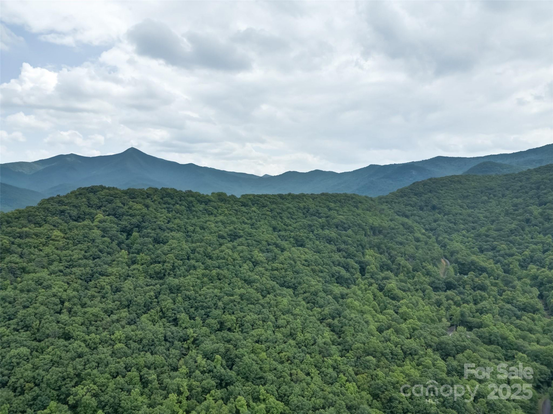 100 White Rock Branch Road - Photo 31