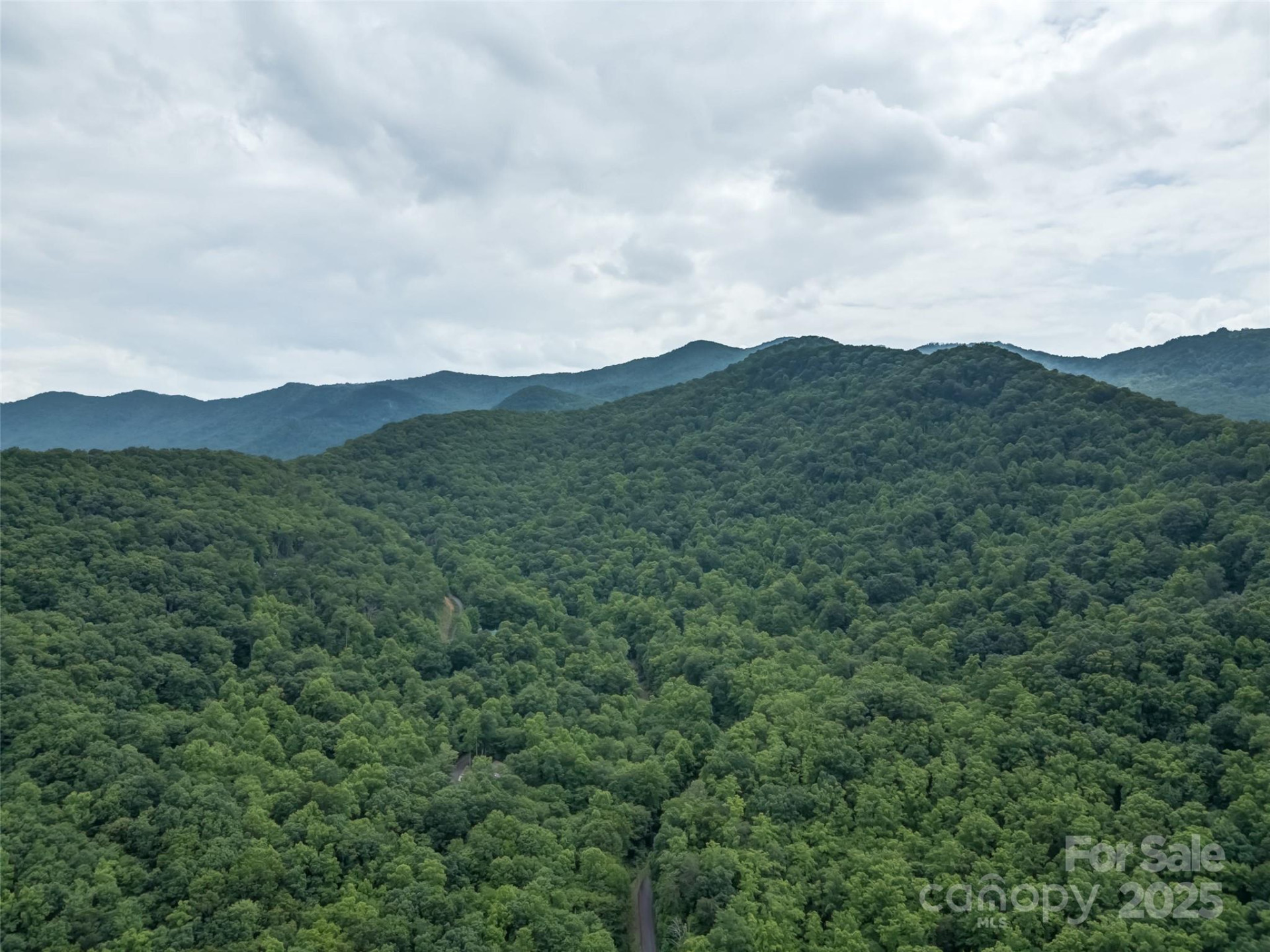 100 White Rock Branch Road - Photo 32