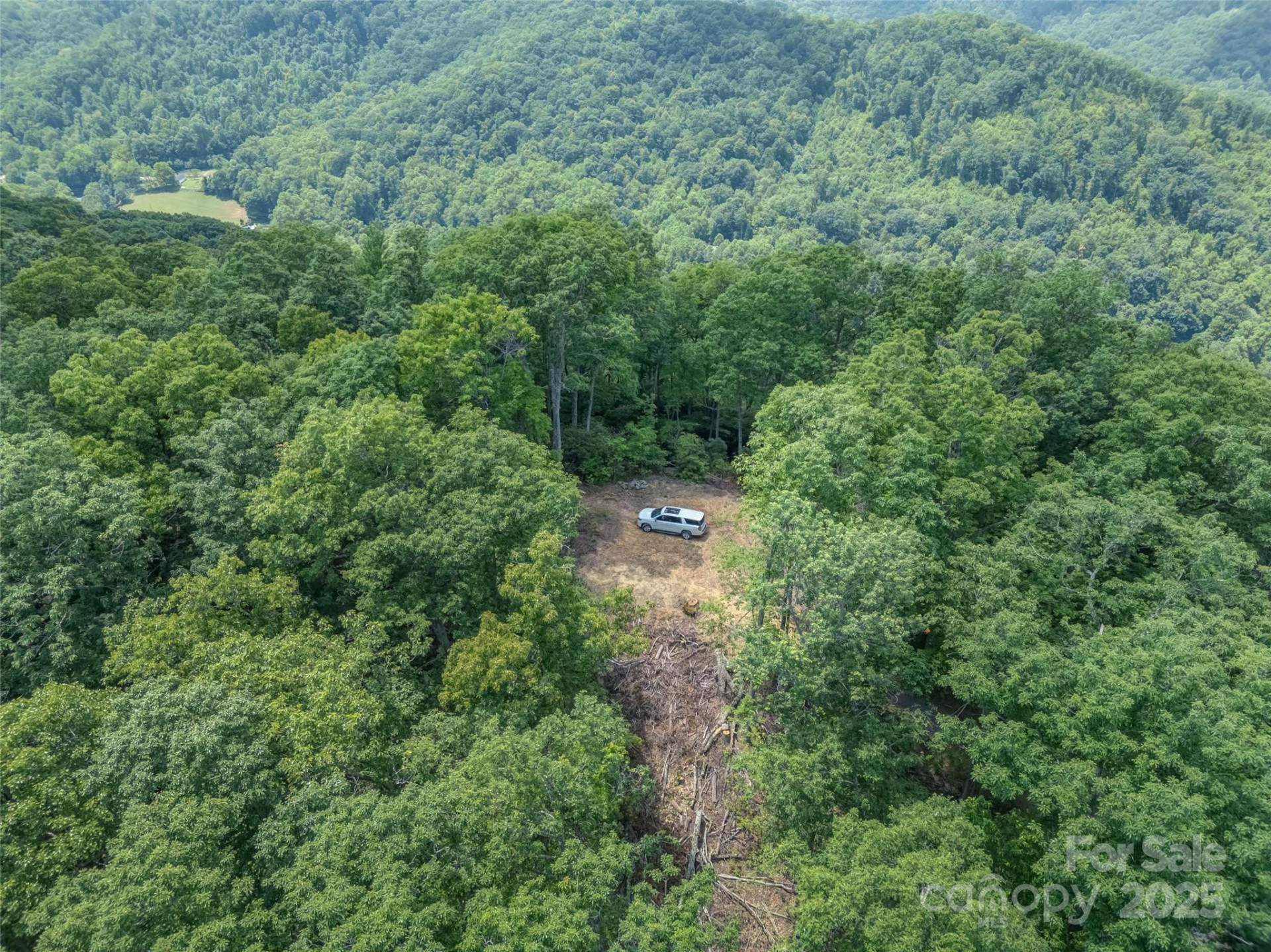 100 White Rock Branch Road - Photo 5