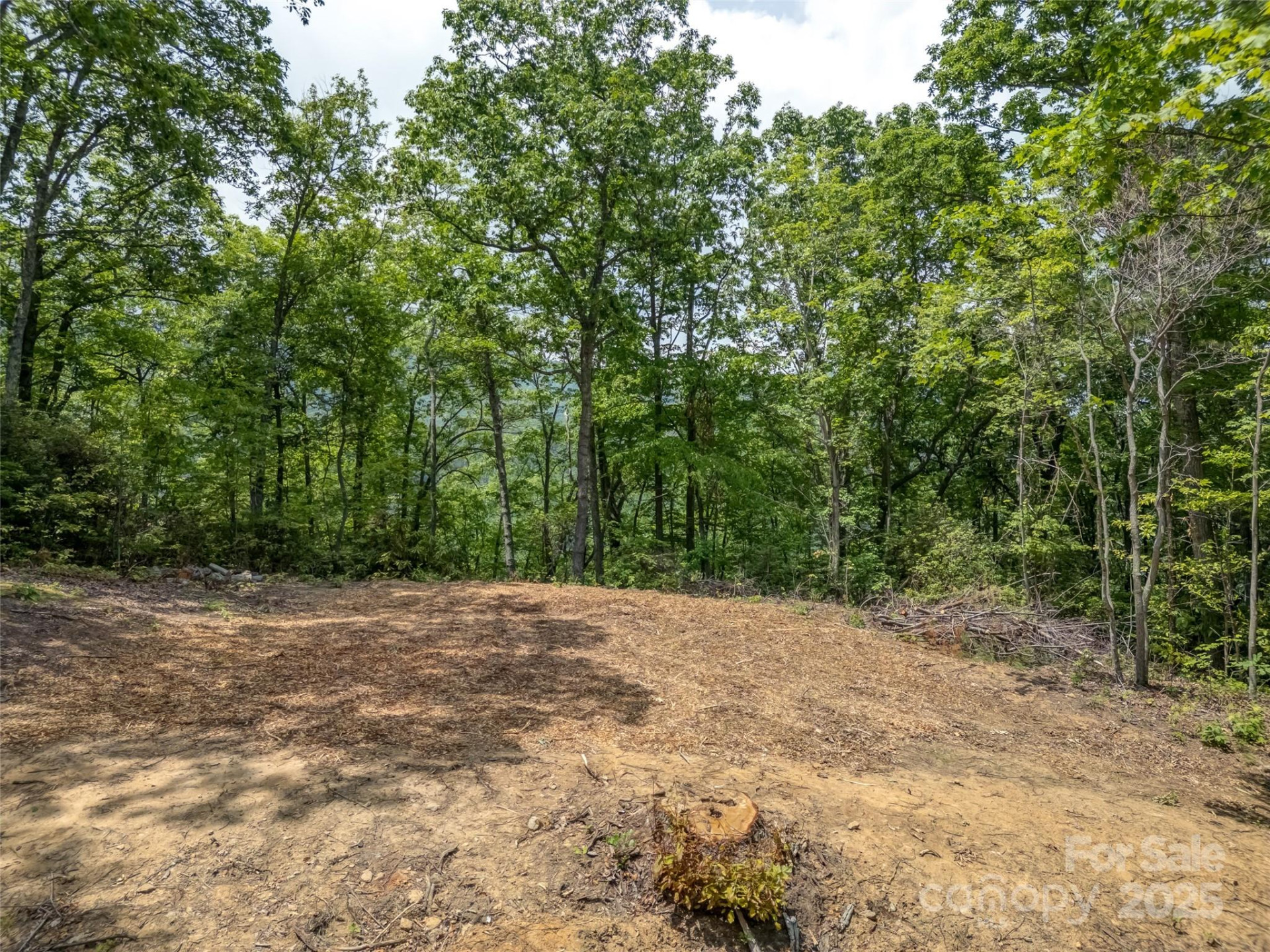 100 White Rock Branch Road - Photo 7