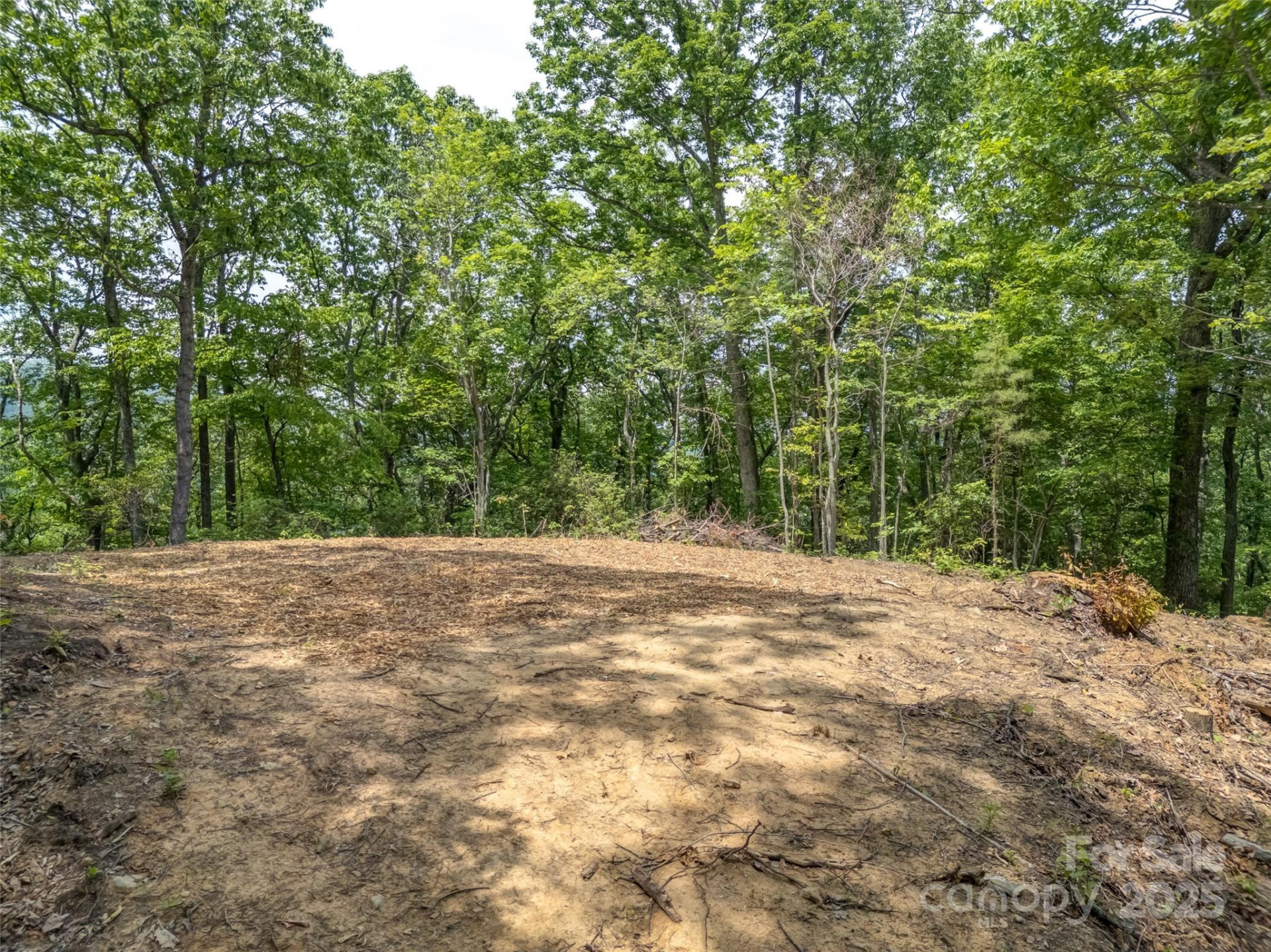 100 White Rock Branch Road - Photo 8