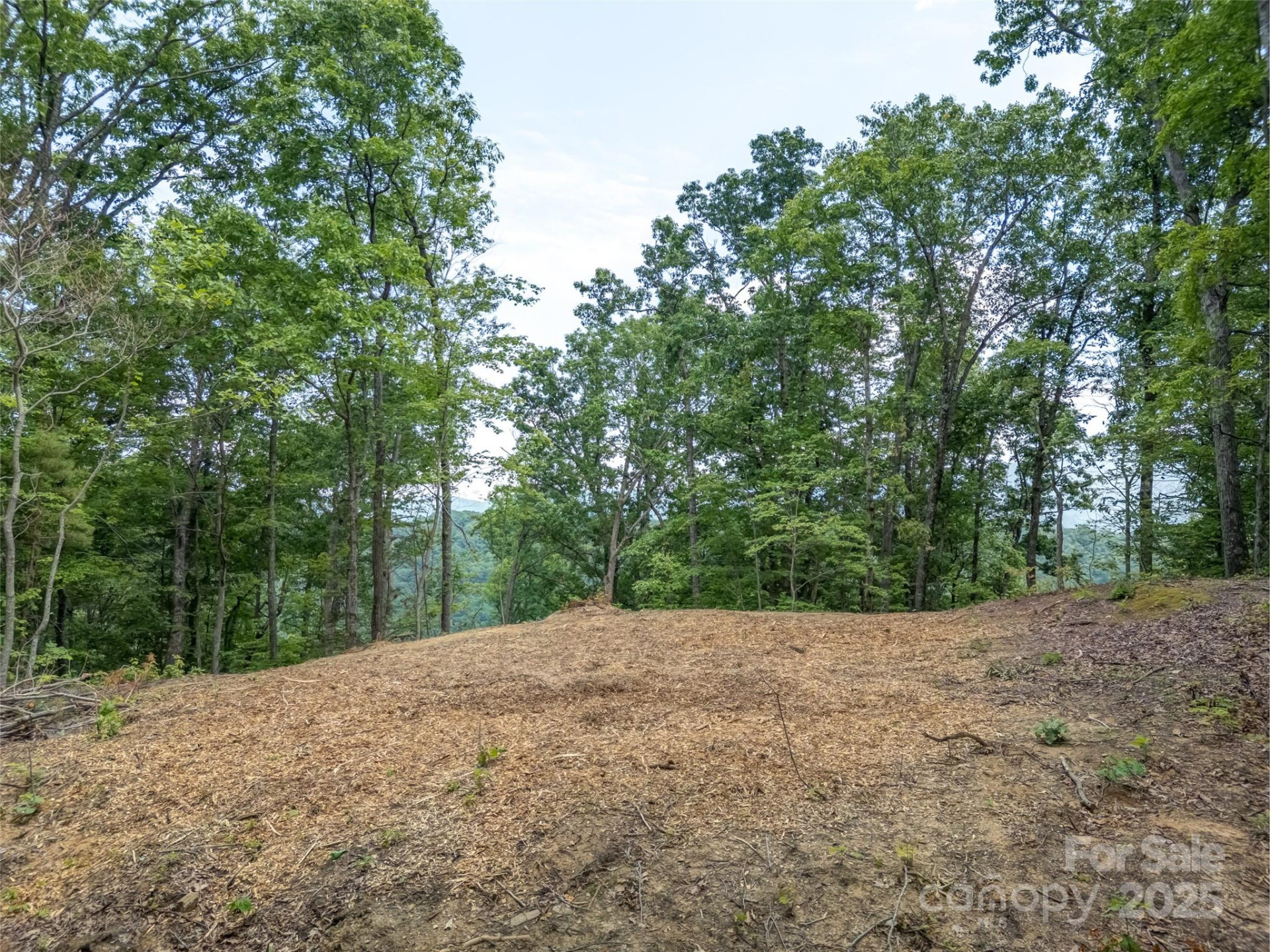 100 White Rock Branch Road - Photo 9