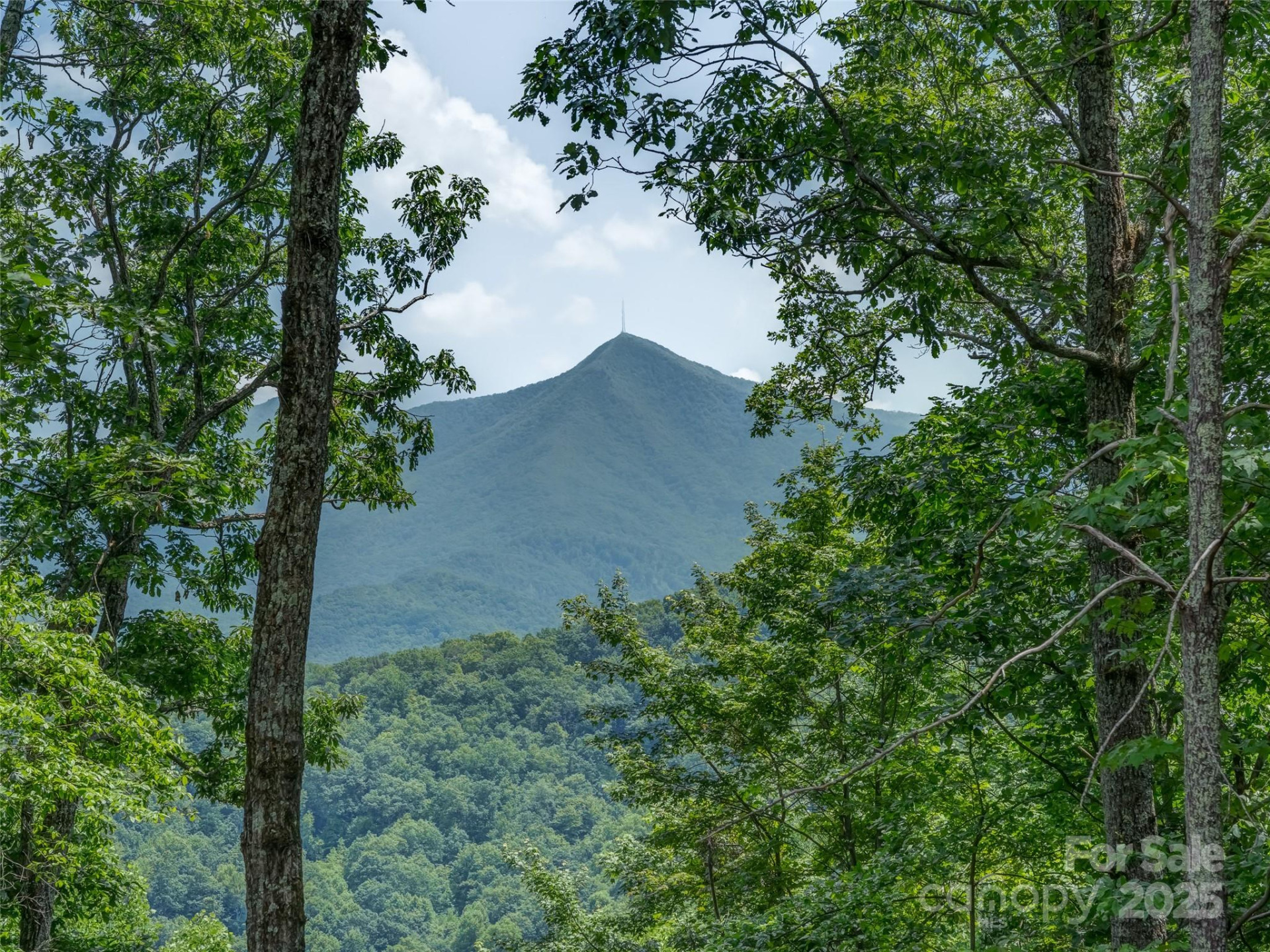 100 White Rock Branch Road - Photo 10