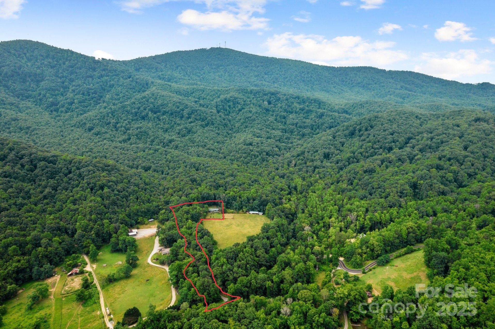 8252 Holbert Cove Road - Photo 2