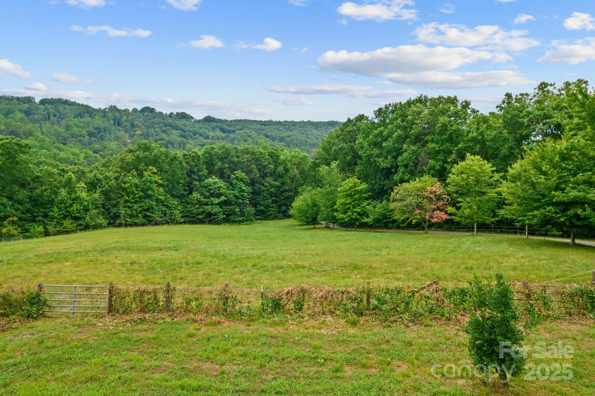 8252 Holbert Cove Road - Photo 38