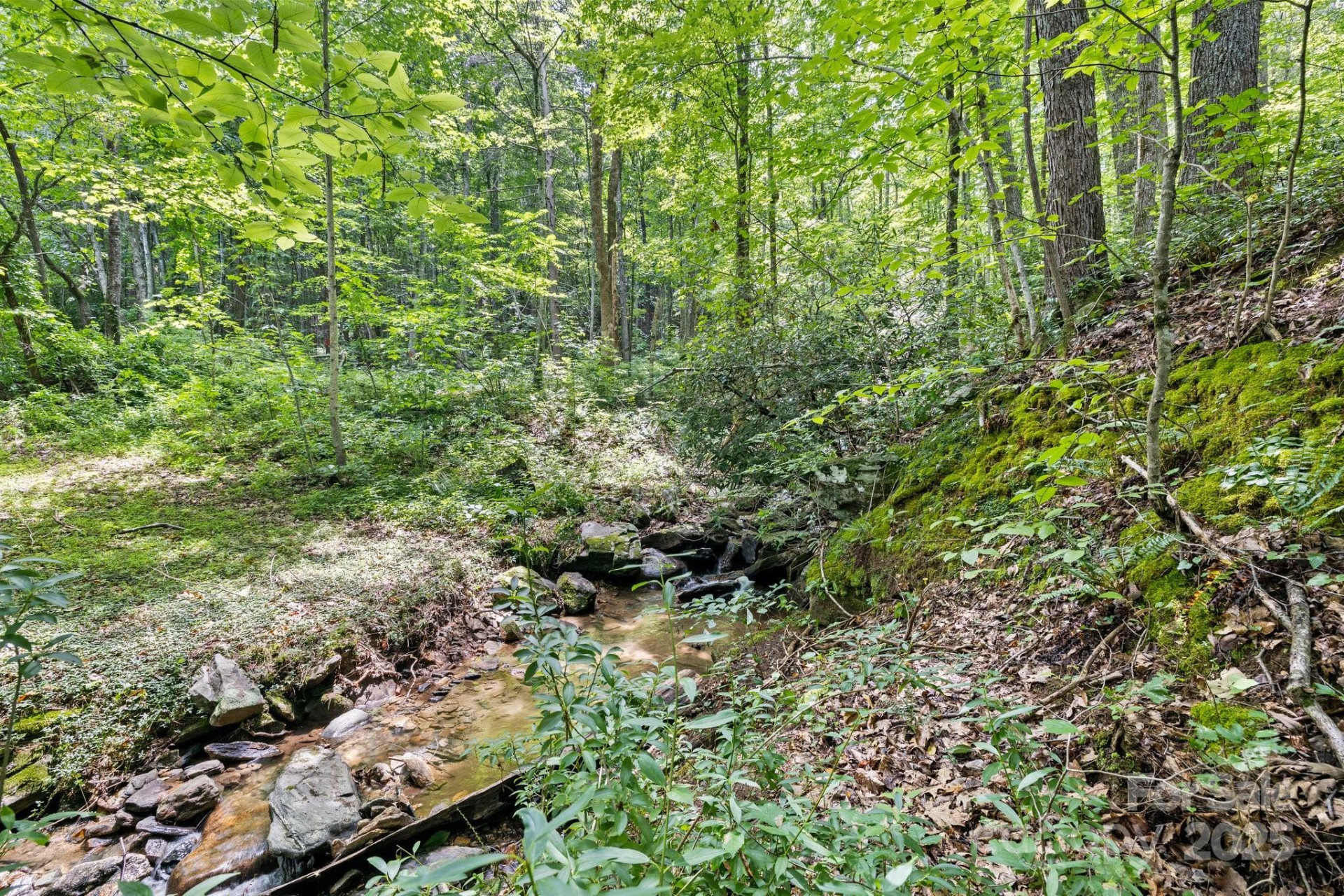 8252 Holbert Cove Road - Photo 39