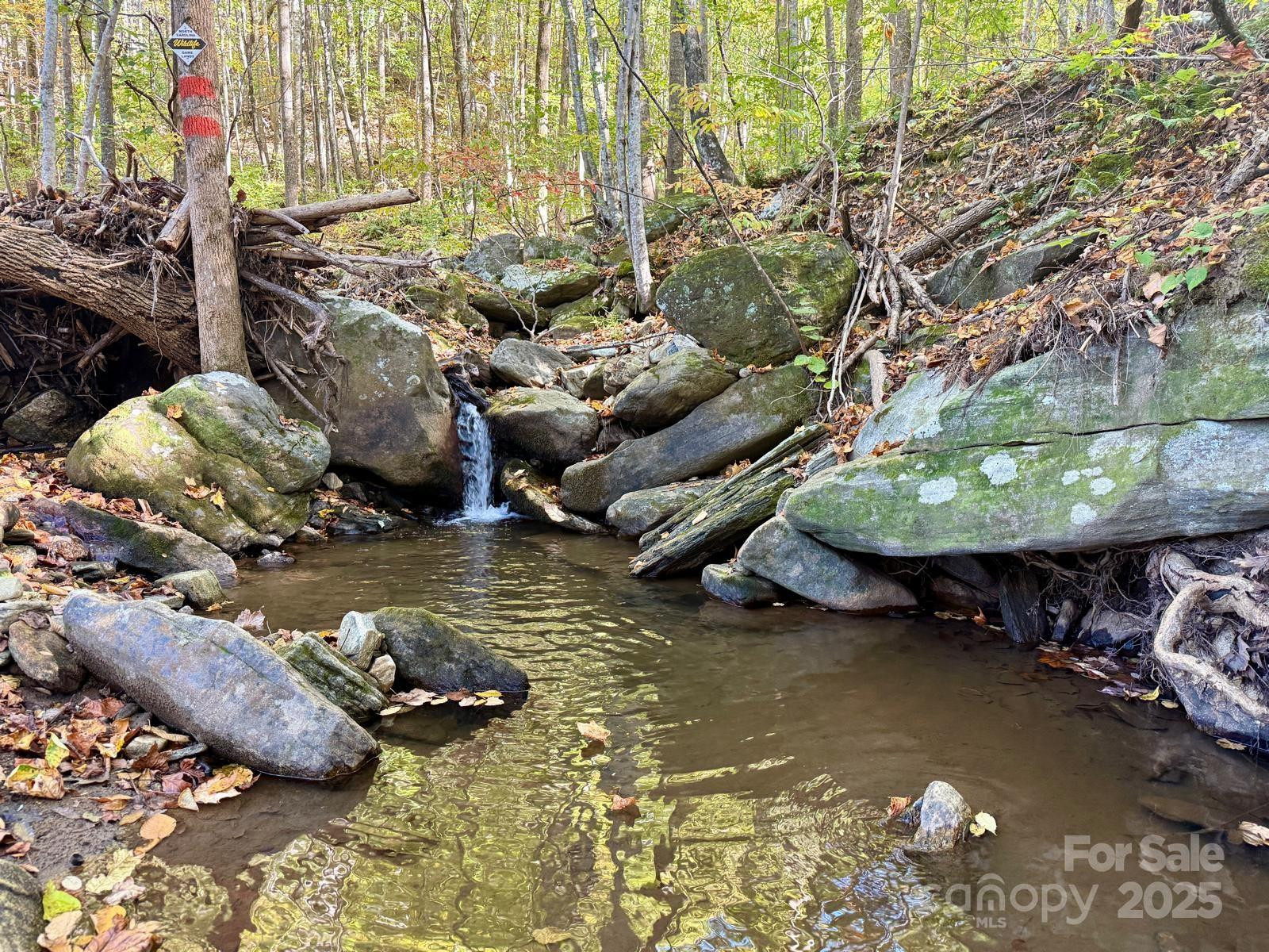 8252 Holbert Cove Road - Photo 41