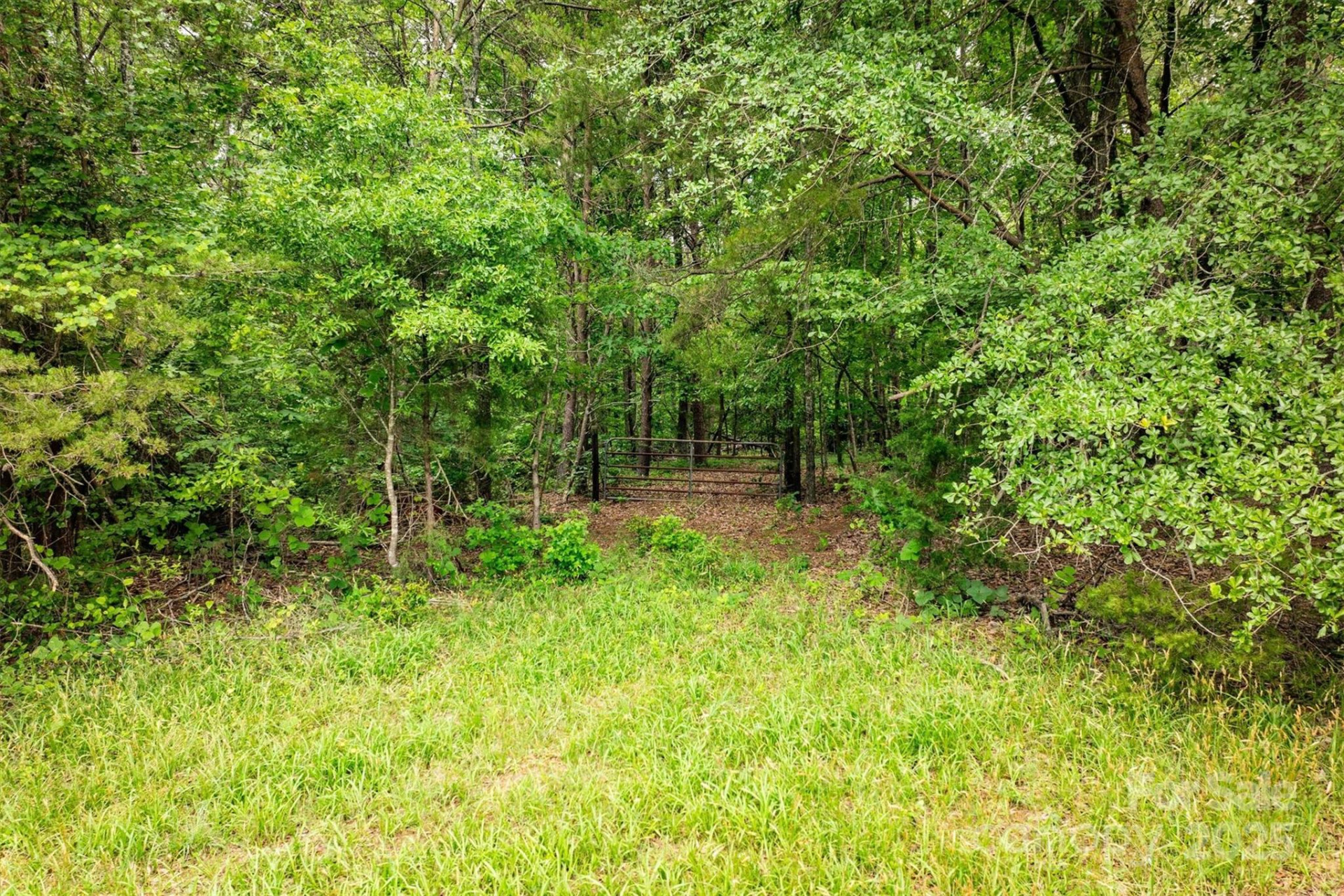 161 Windy Knoll - Photo 11