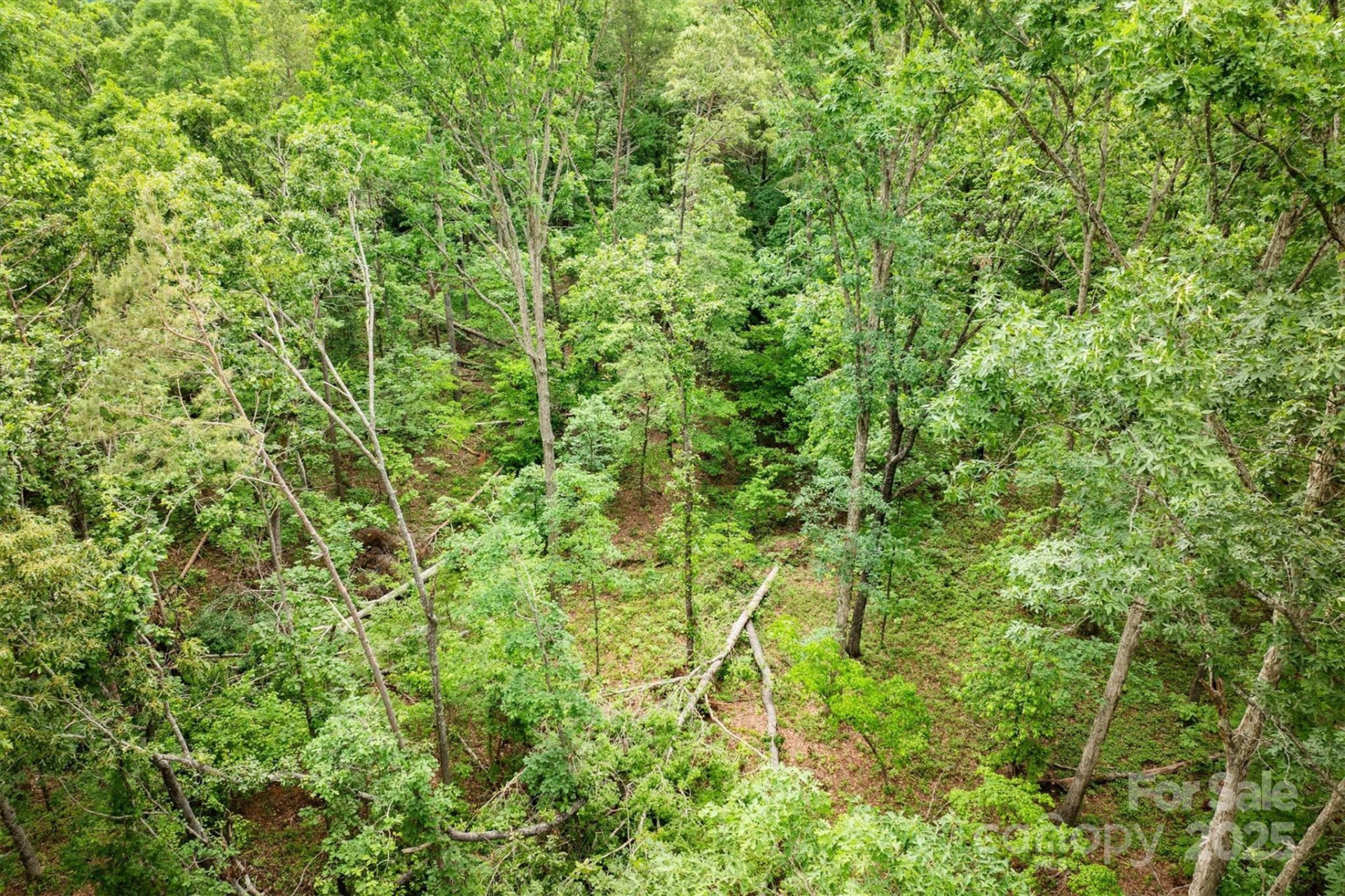 161 Windy Knoll - Photo 15