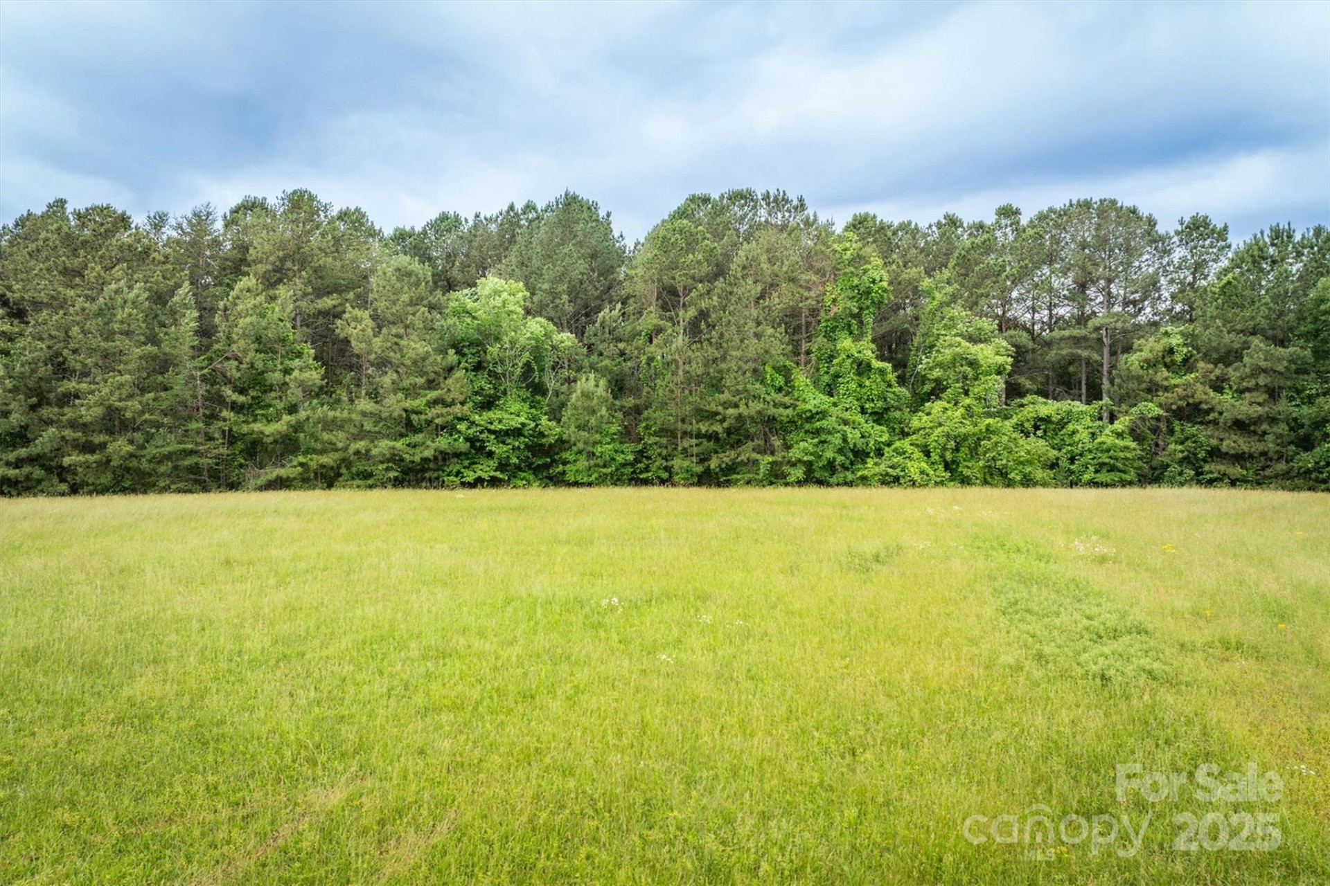 161 Windy Knoll - Photo 3