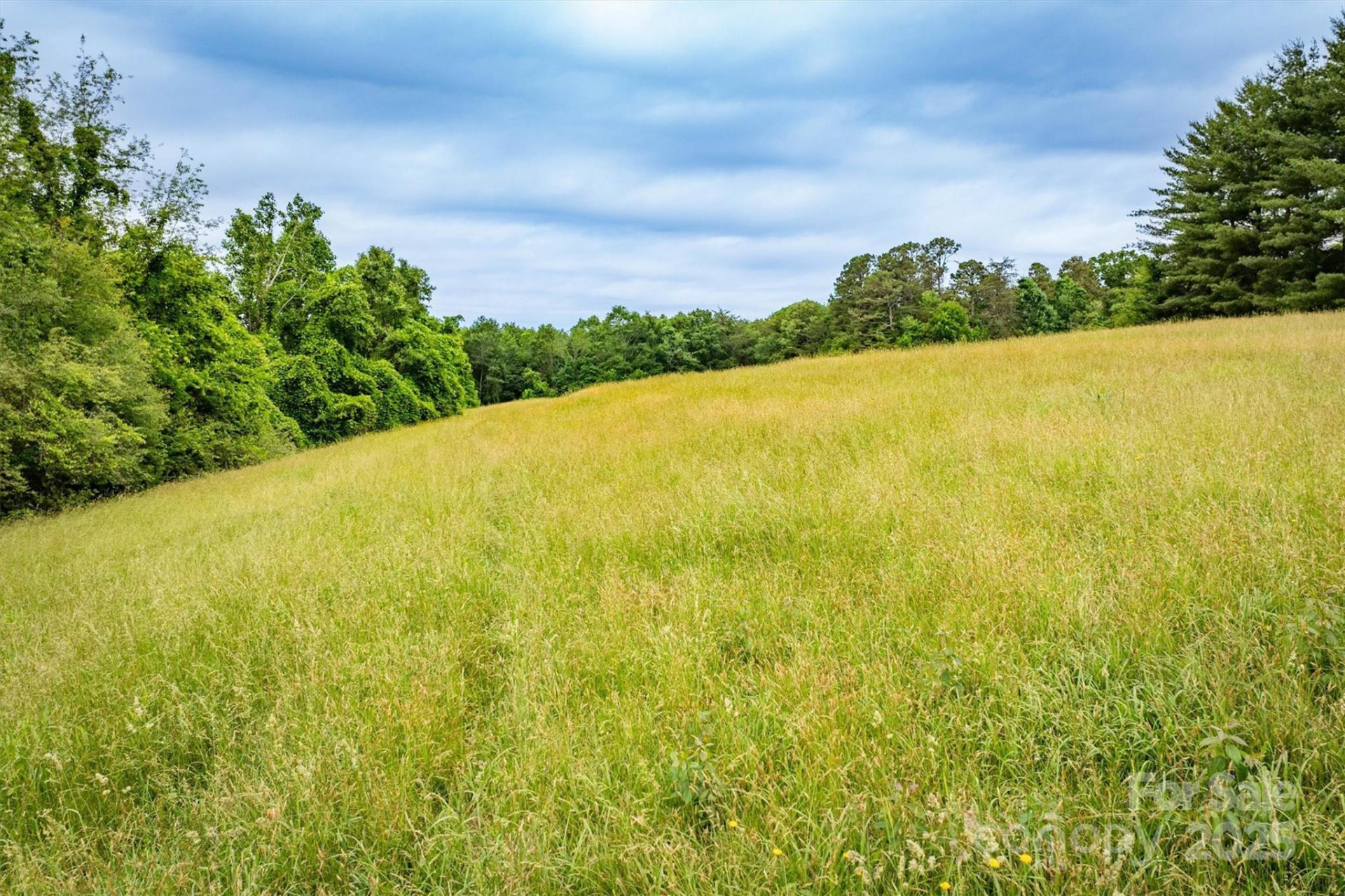 161 Windy Knoll - Photo 9