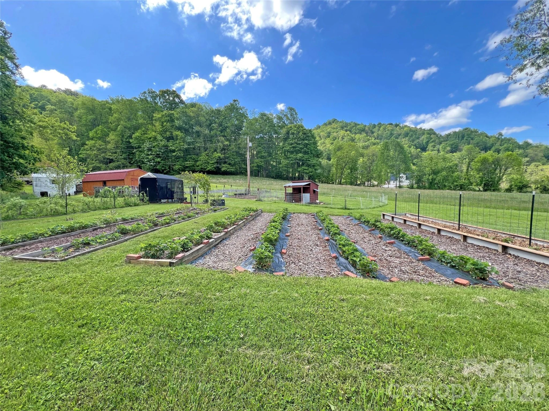 550 Joe Payne Road - Photo 35