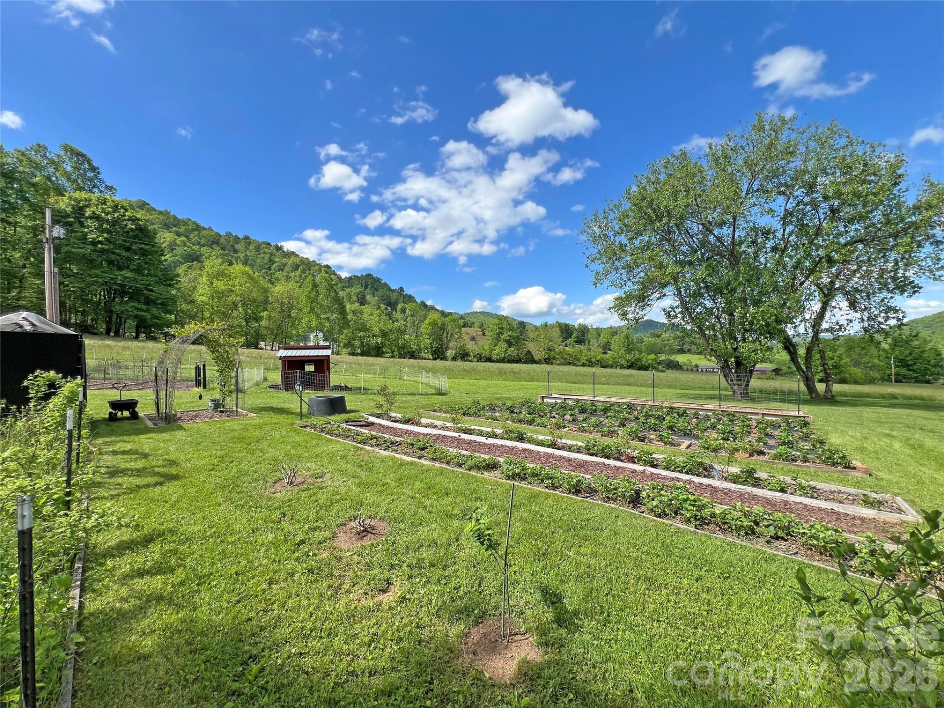 550 Joe Payne Road - Photo 5