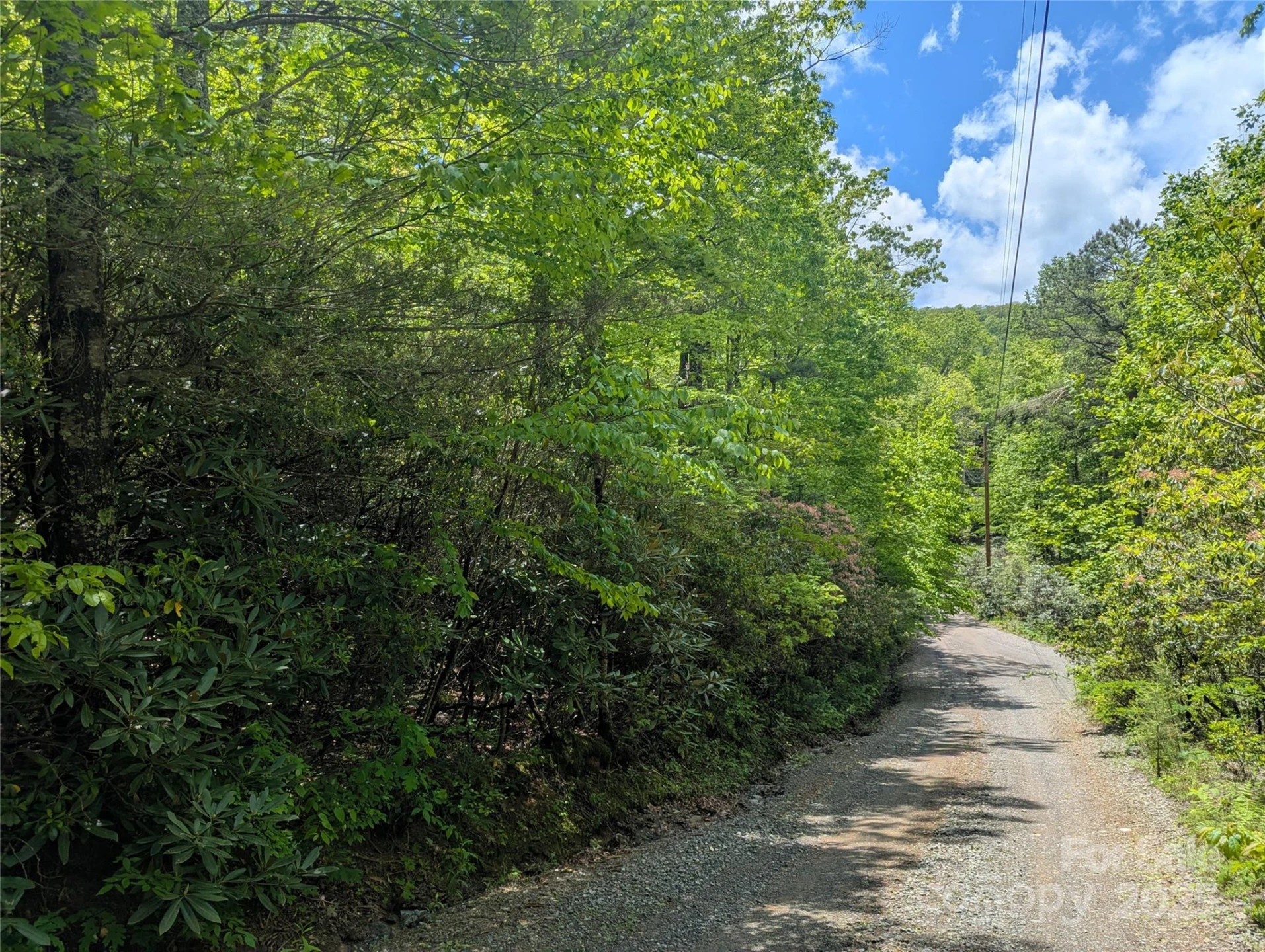 99999 Prospectors Trail - Photo 5