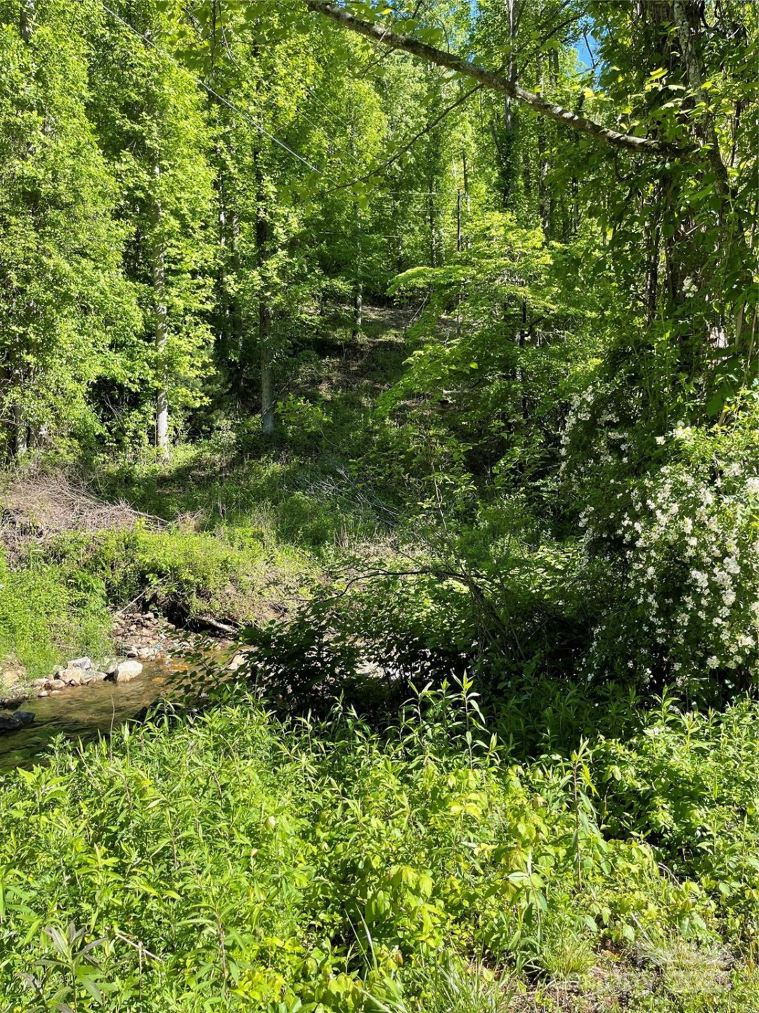 430 Warren Creek Road - Photo 3